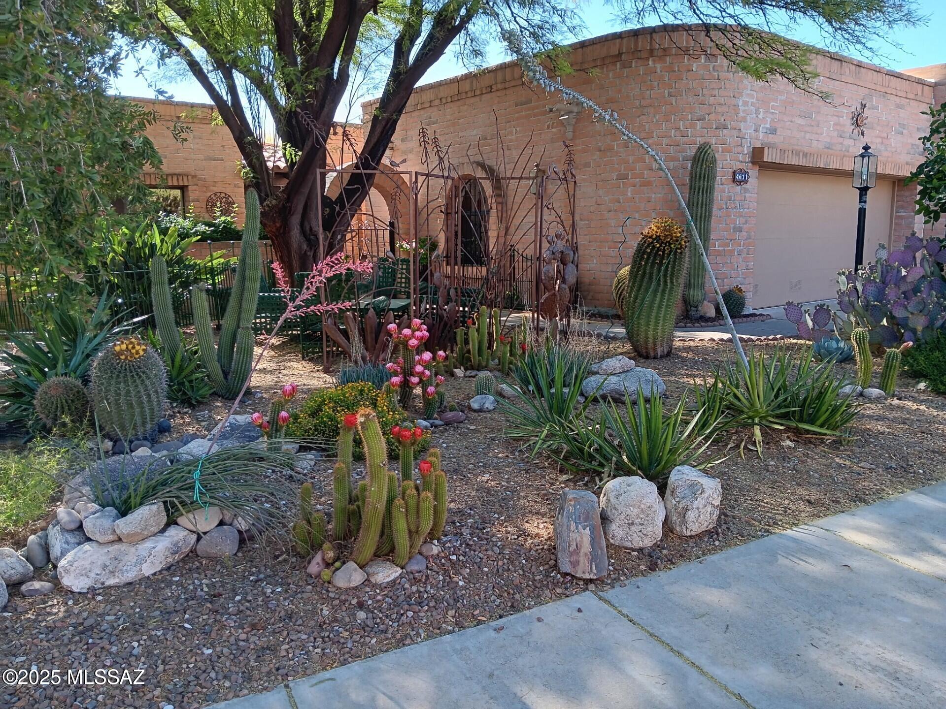 4631 N Camino Campero