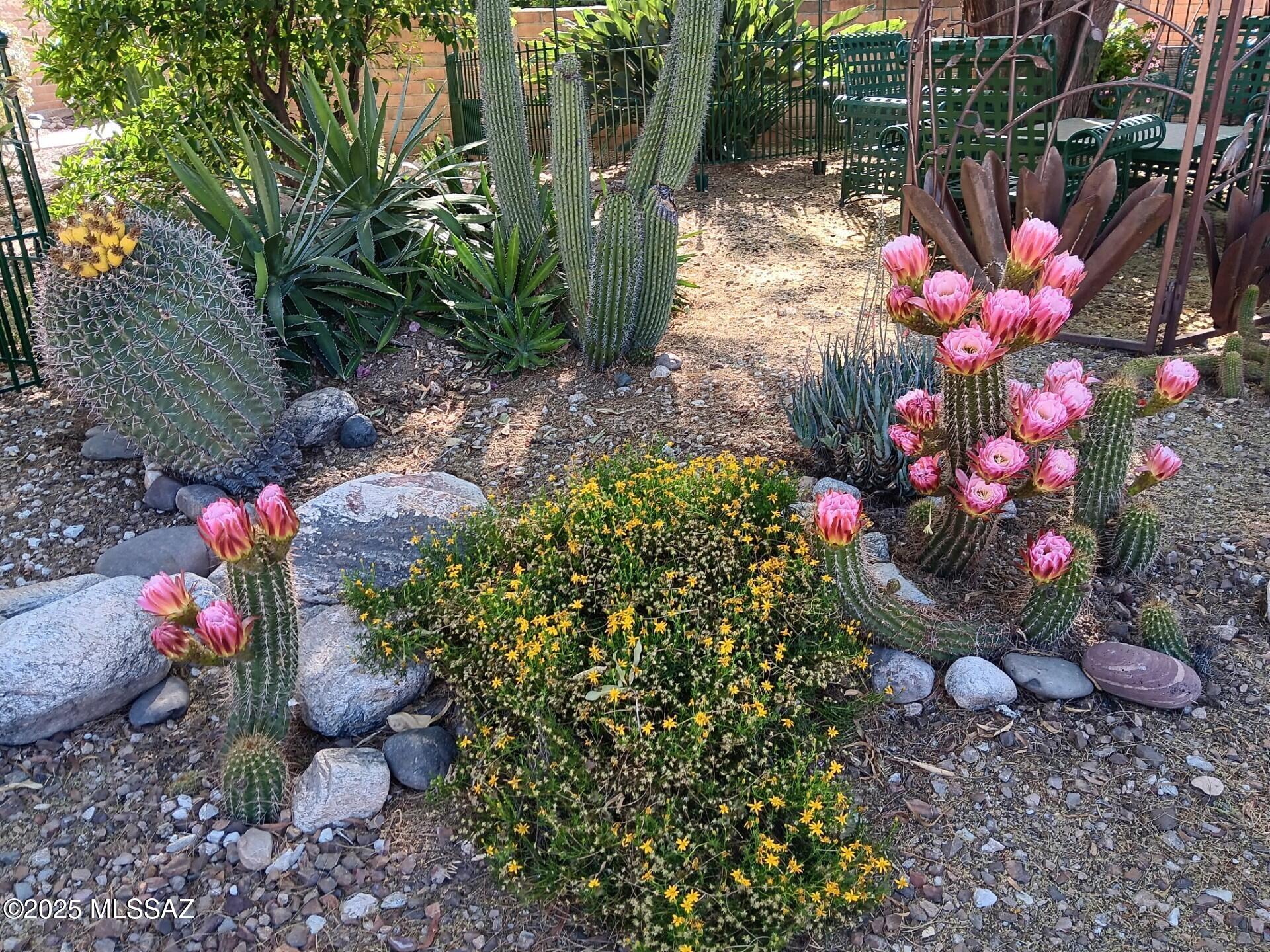 4631 N Camino Campero