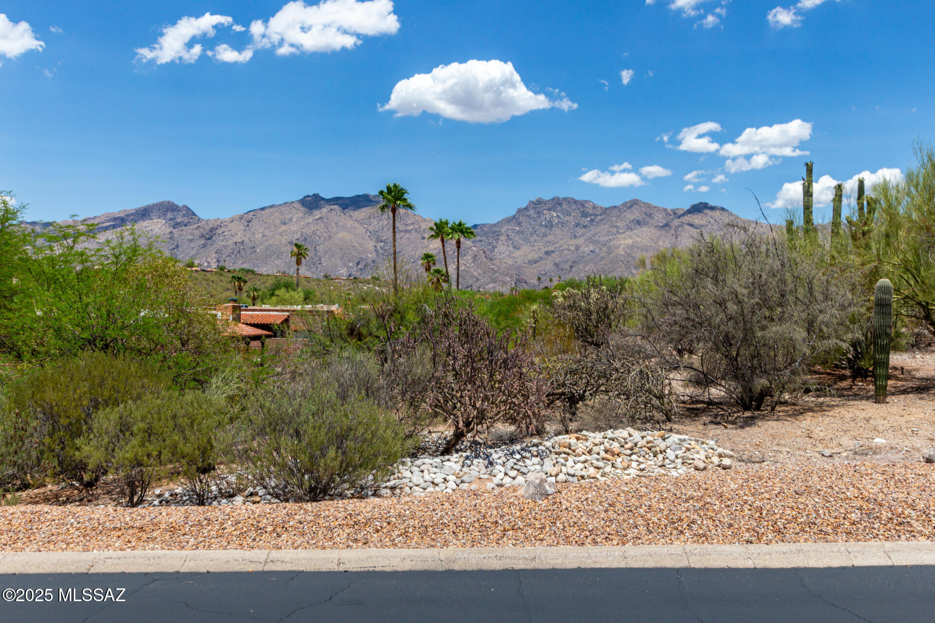 4631 N Camino Campero