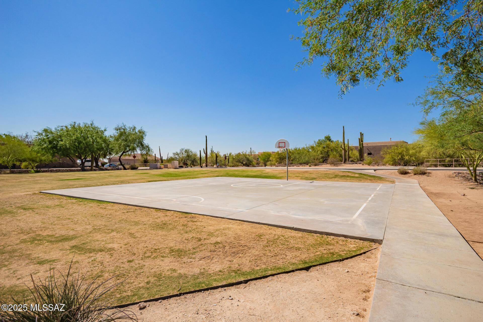 12147 N Golden Mirror Drive