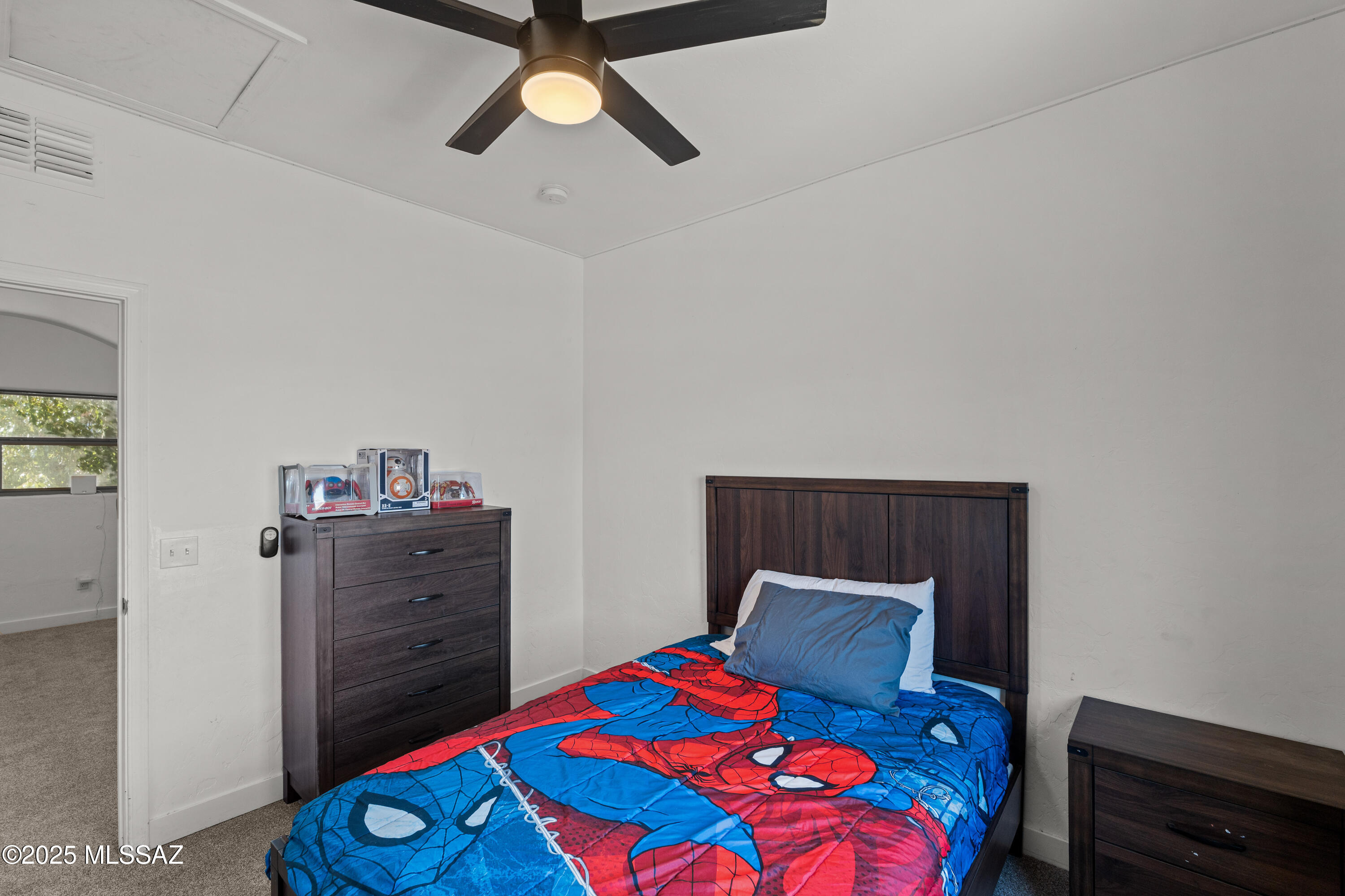 147 E Calle Puente Azul