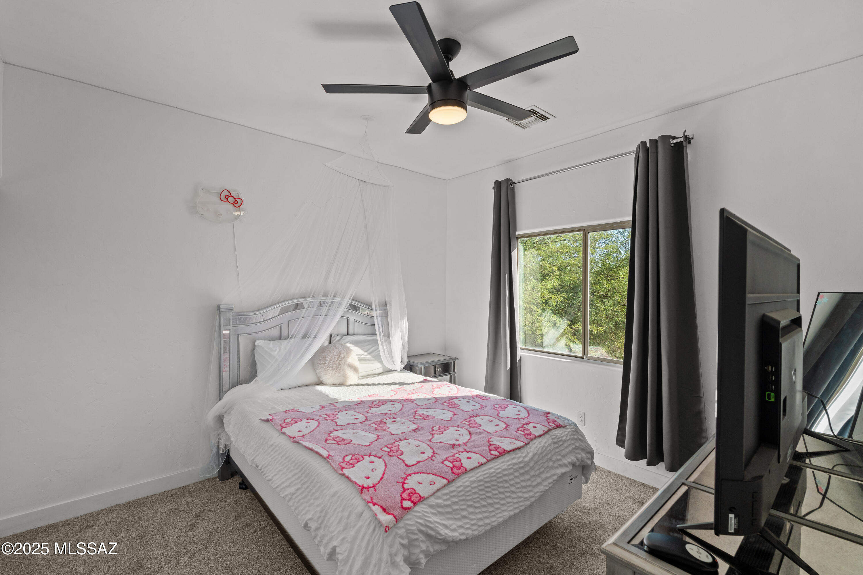 147 E Calle Puente Azul