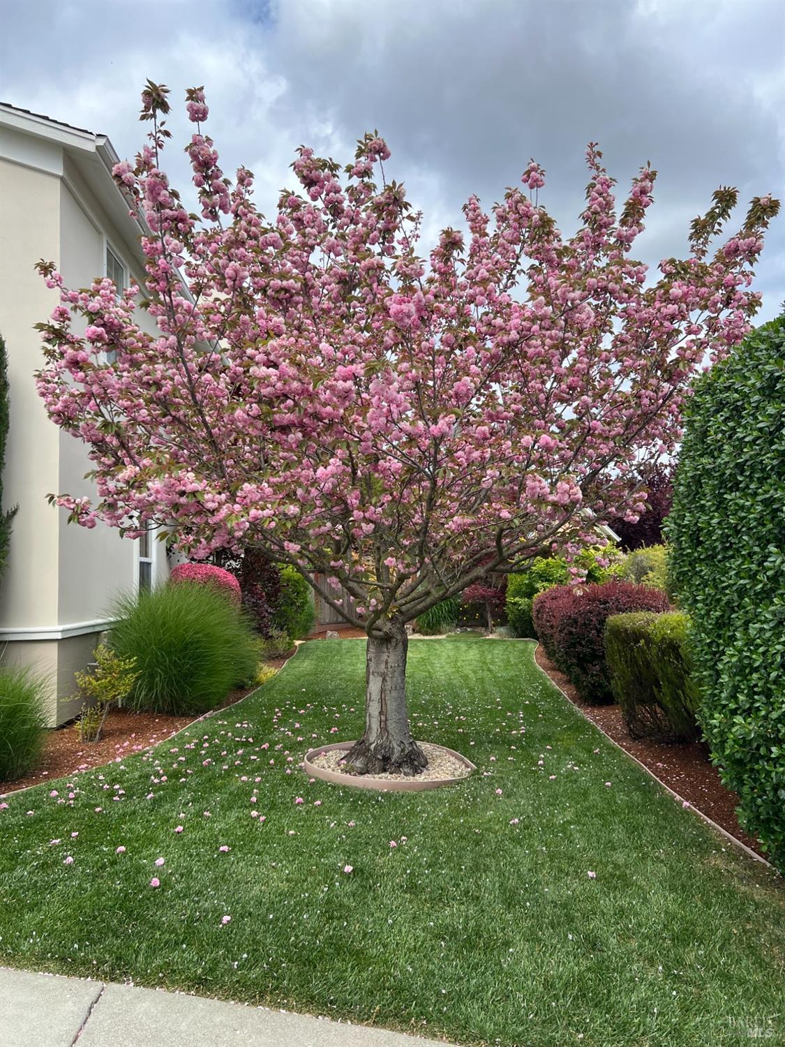 6268 Old Redwood Hwy