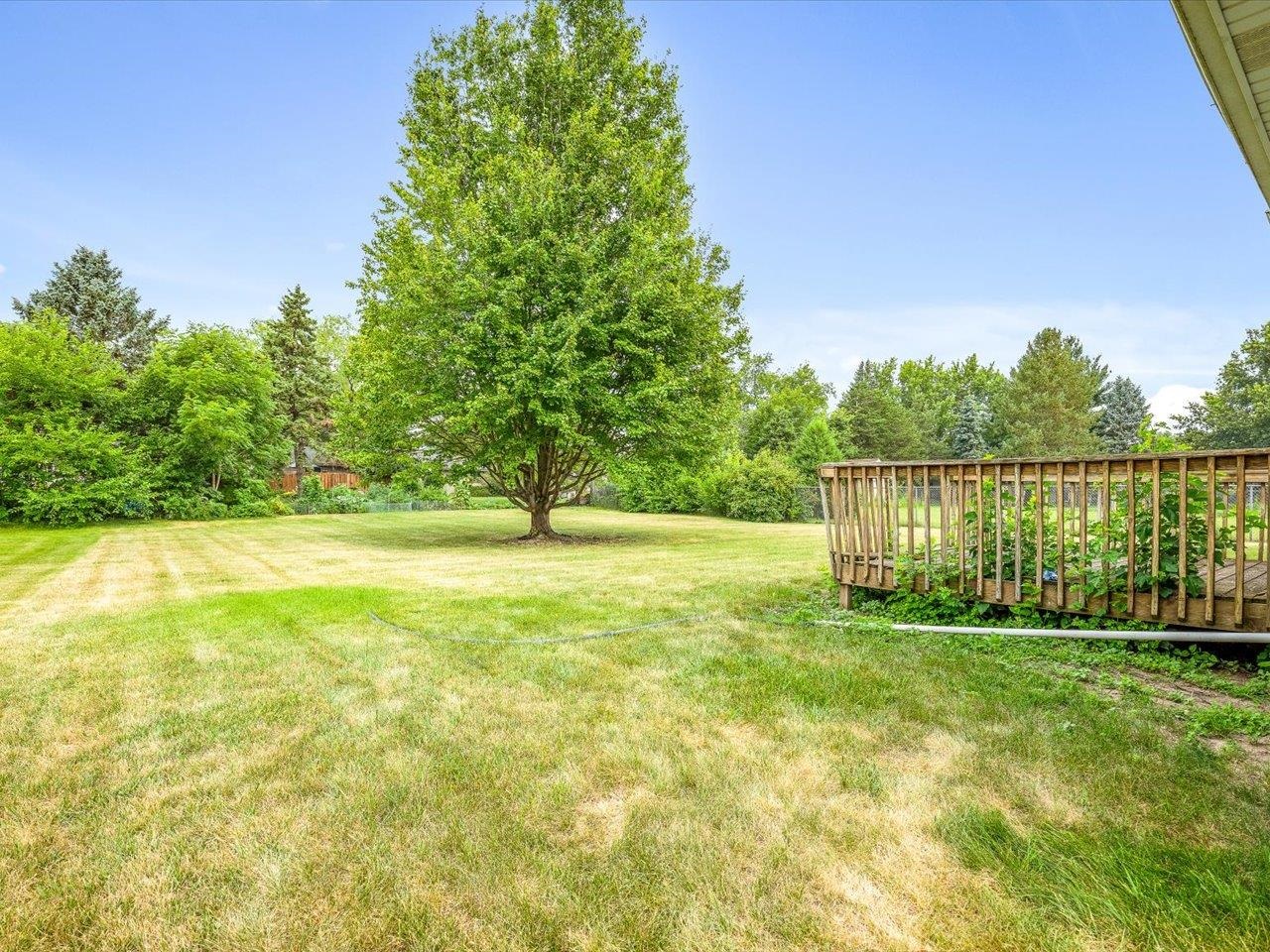 3736 Modesto Drive