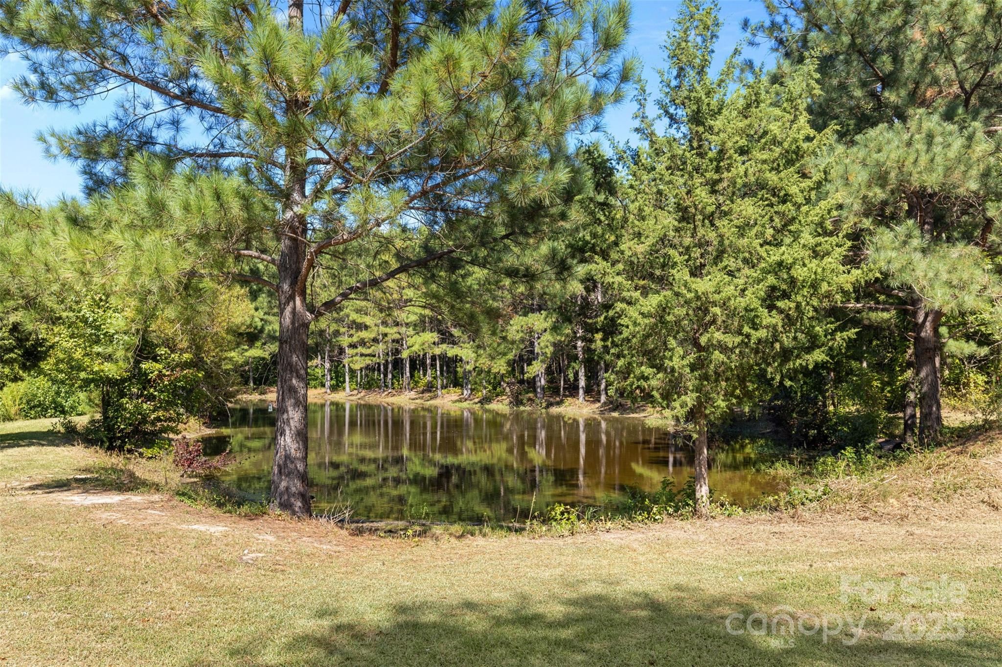 4661 Willie Bayne Lane