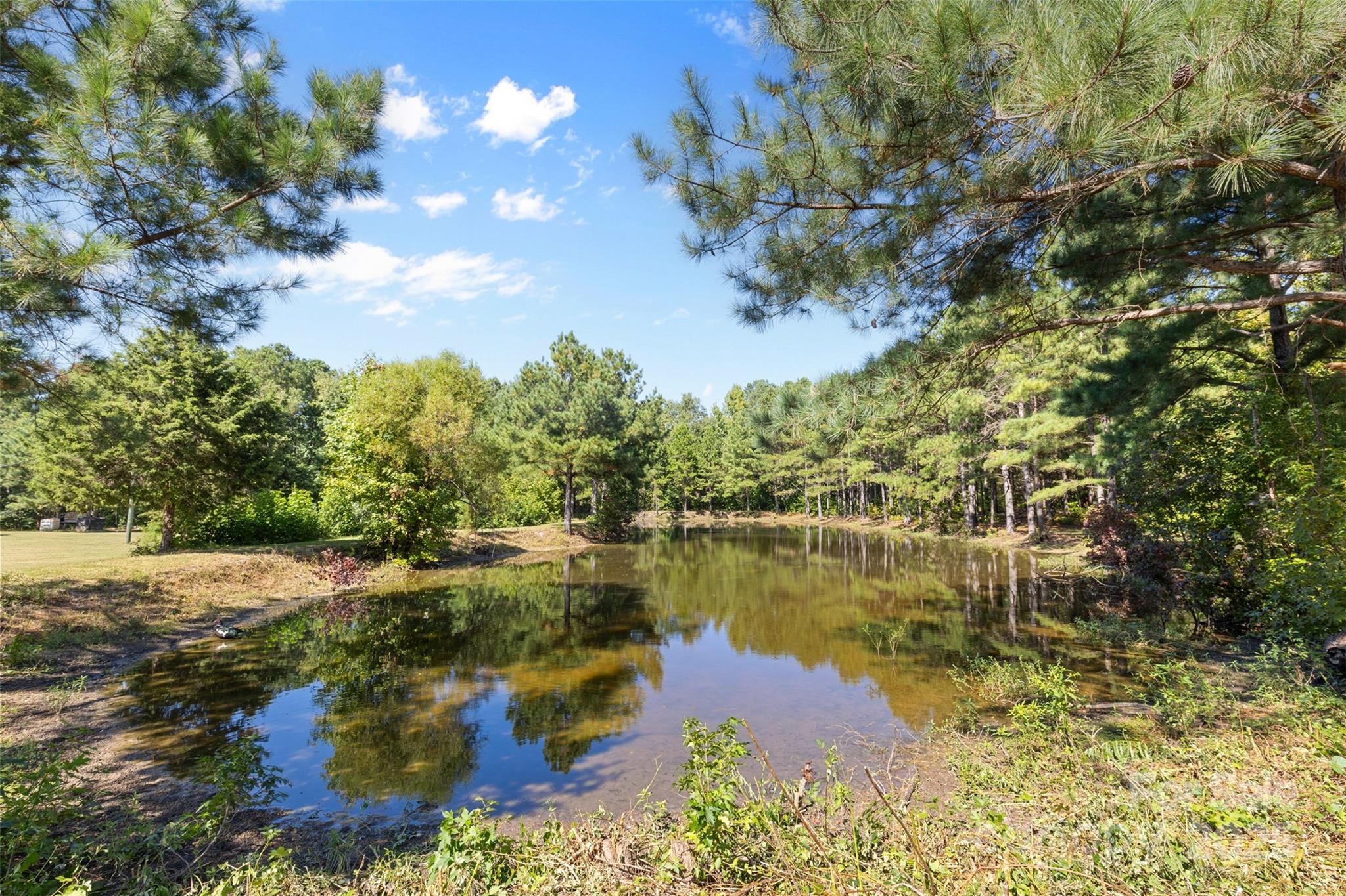 4661 Willie Bayne Lane