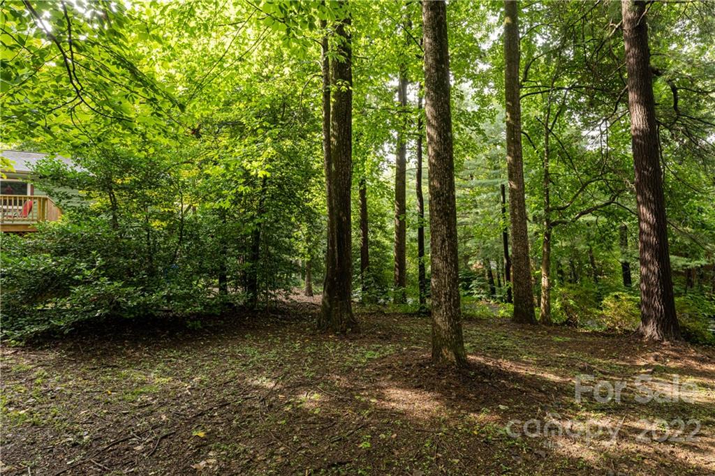 4 Oak Moss Court