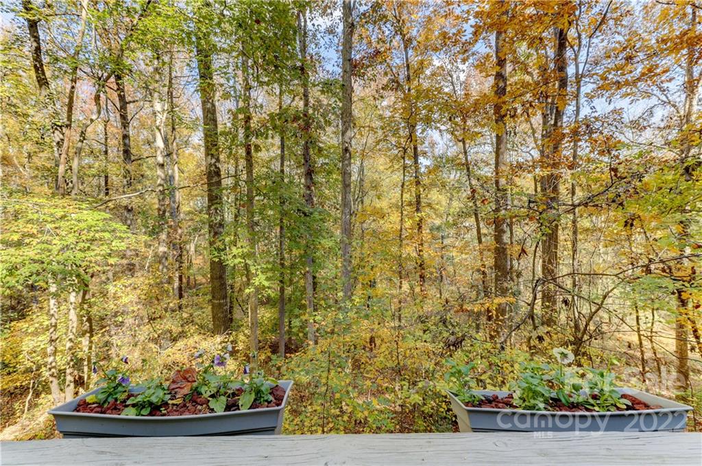 1830 Hazelwood Court