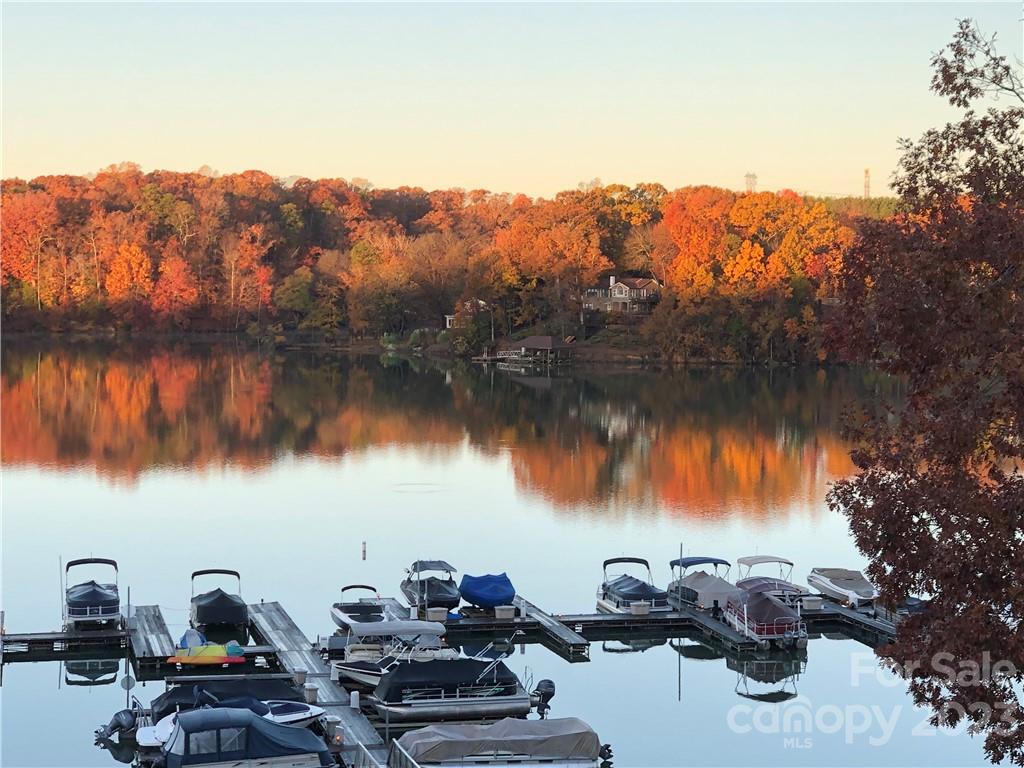 9801 Emerald Point Drive Unit: 11