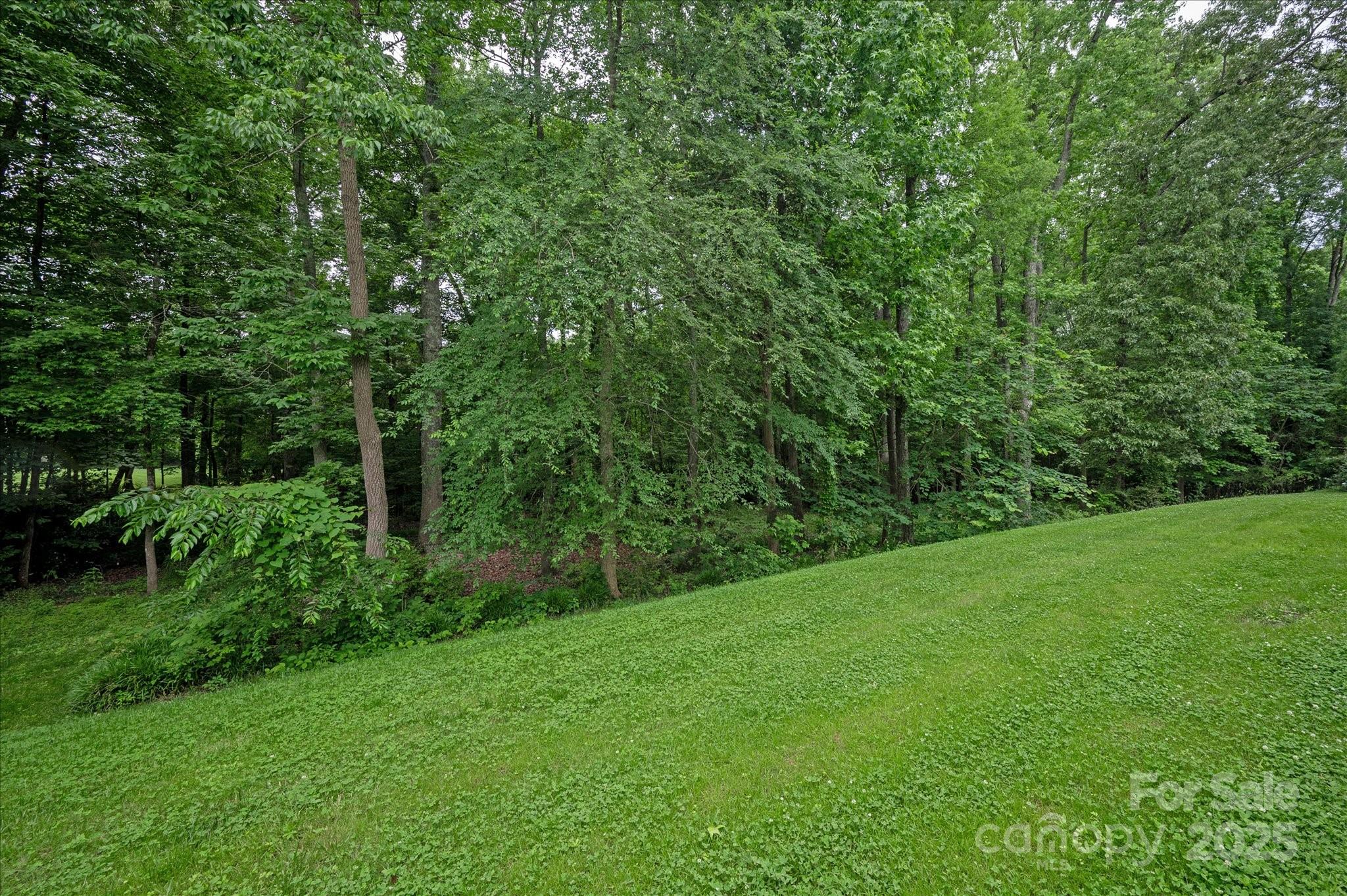 409 Running Horse Lane