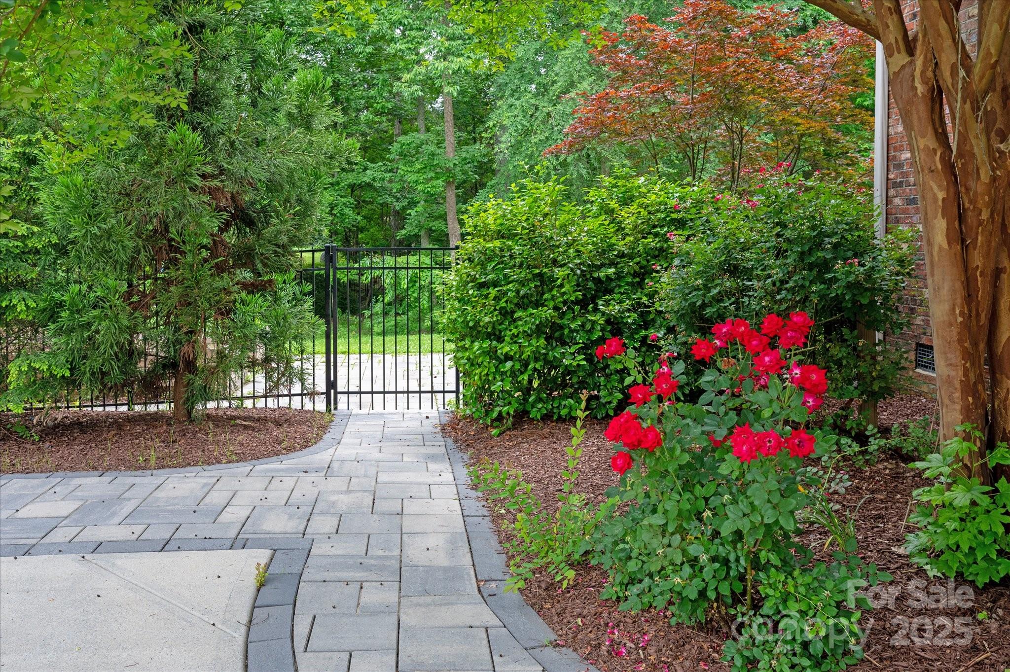 409 Running Horse Lane