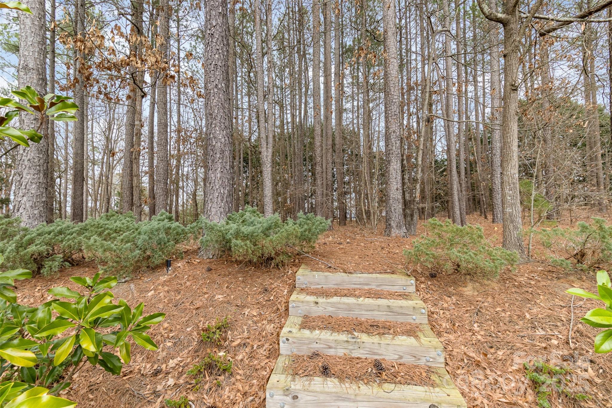 125 Whiterock Drive