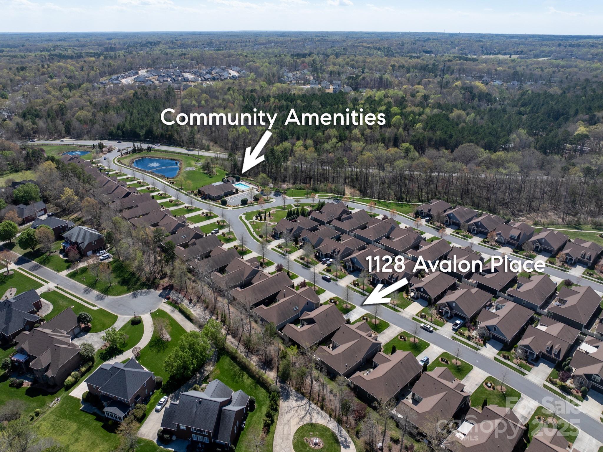 1128 Avalon Place