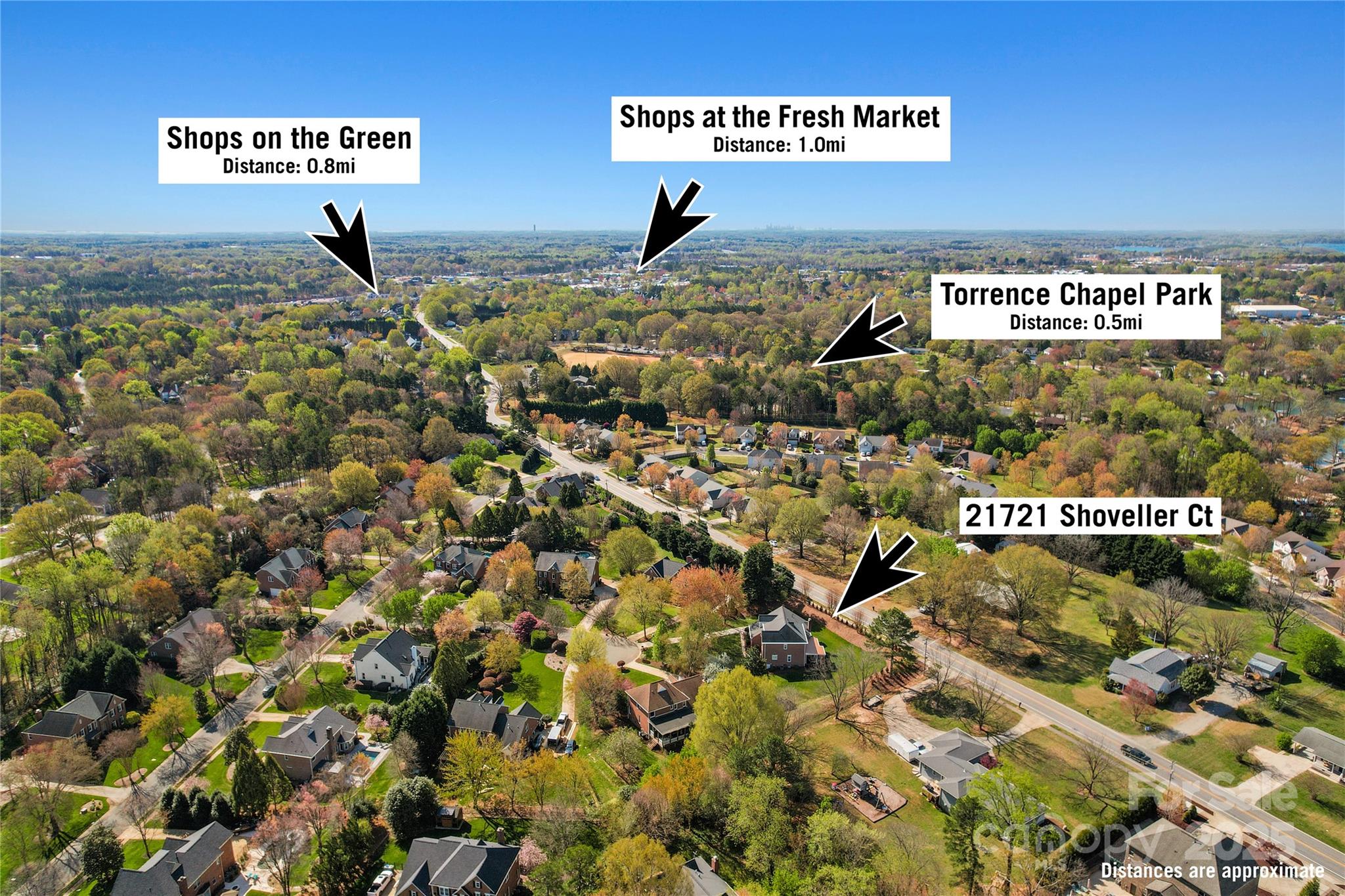 21721 Shoveller Court