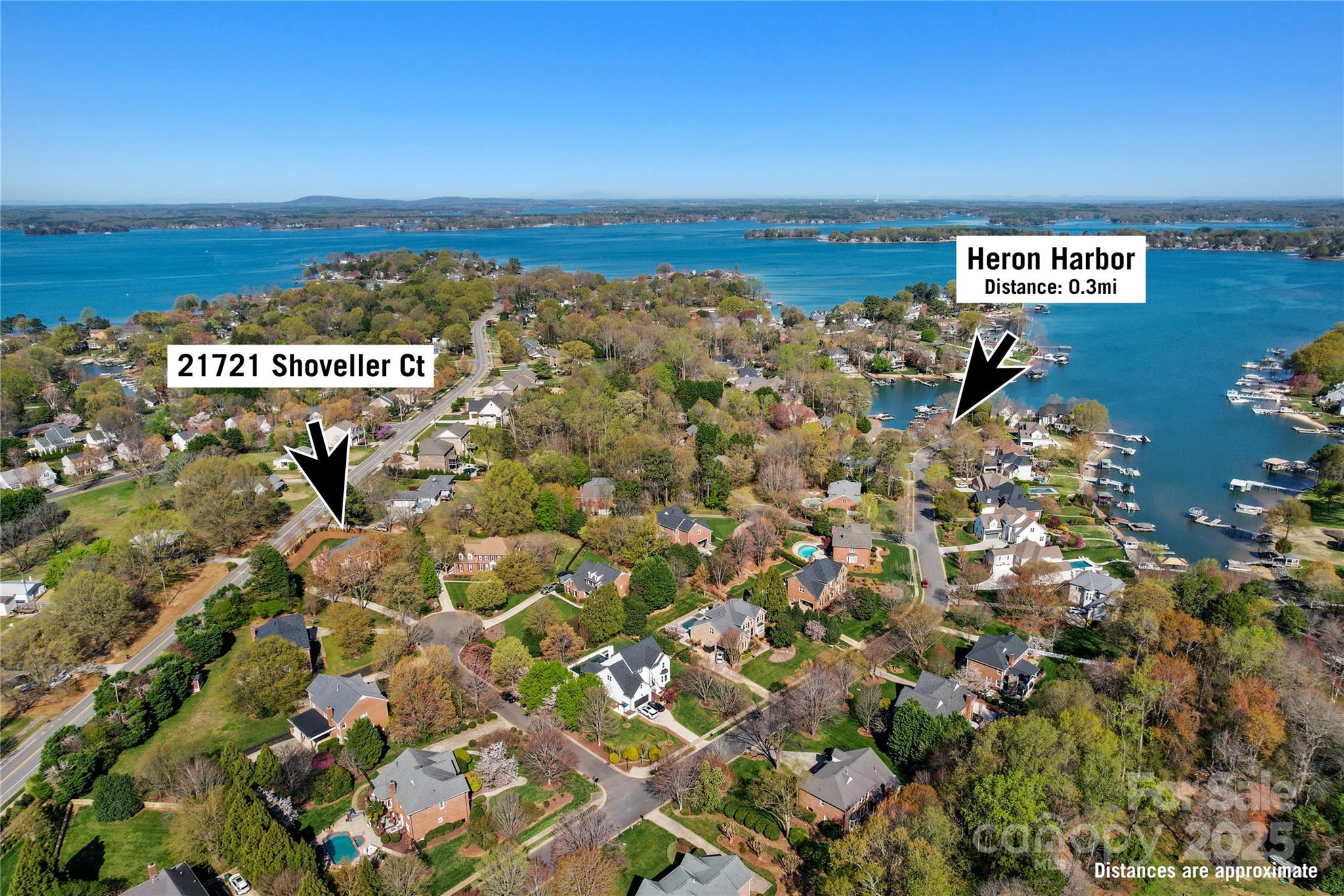 21721 Shoveller Court