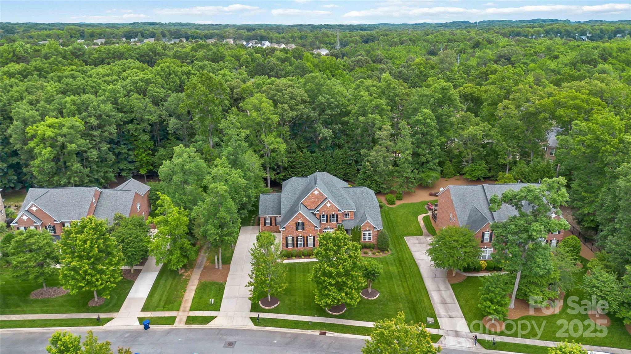 7302 Yellowhorn Trail