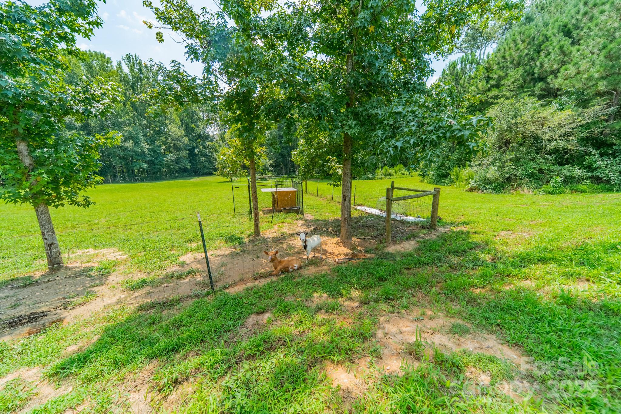 2003 Briarwood Circle