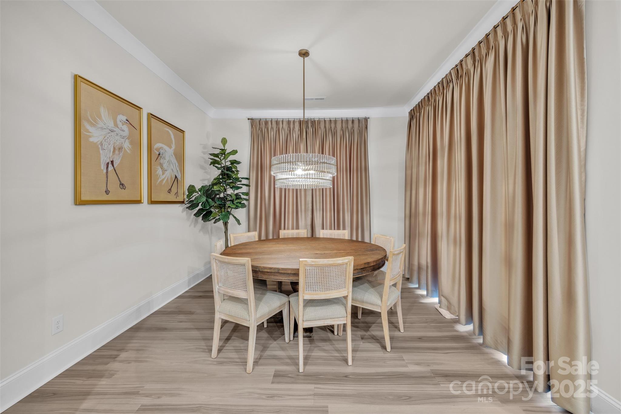 513 Meadow Ridge Drive