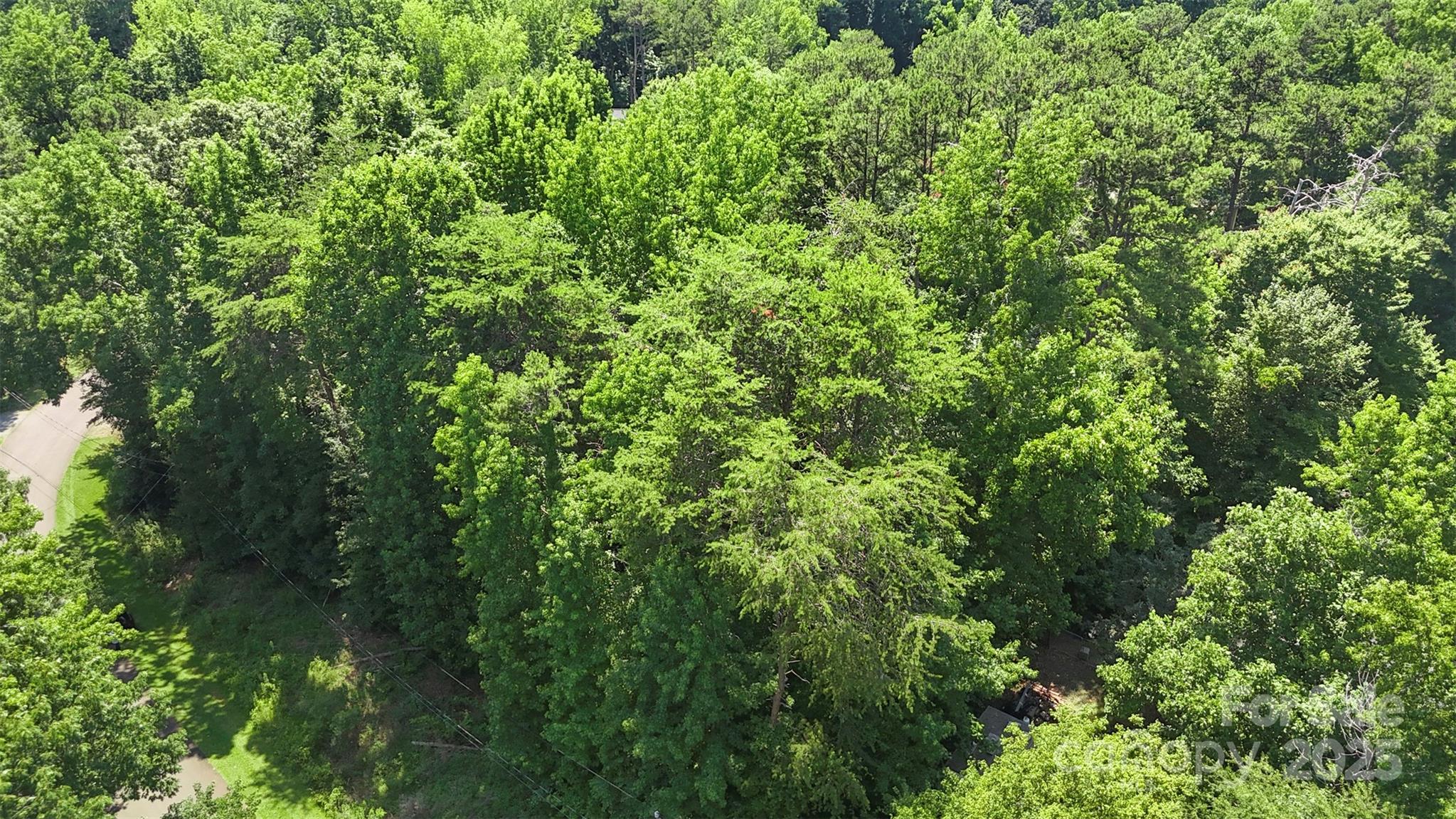 14133 Woodhurst Lane