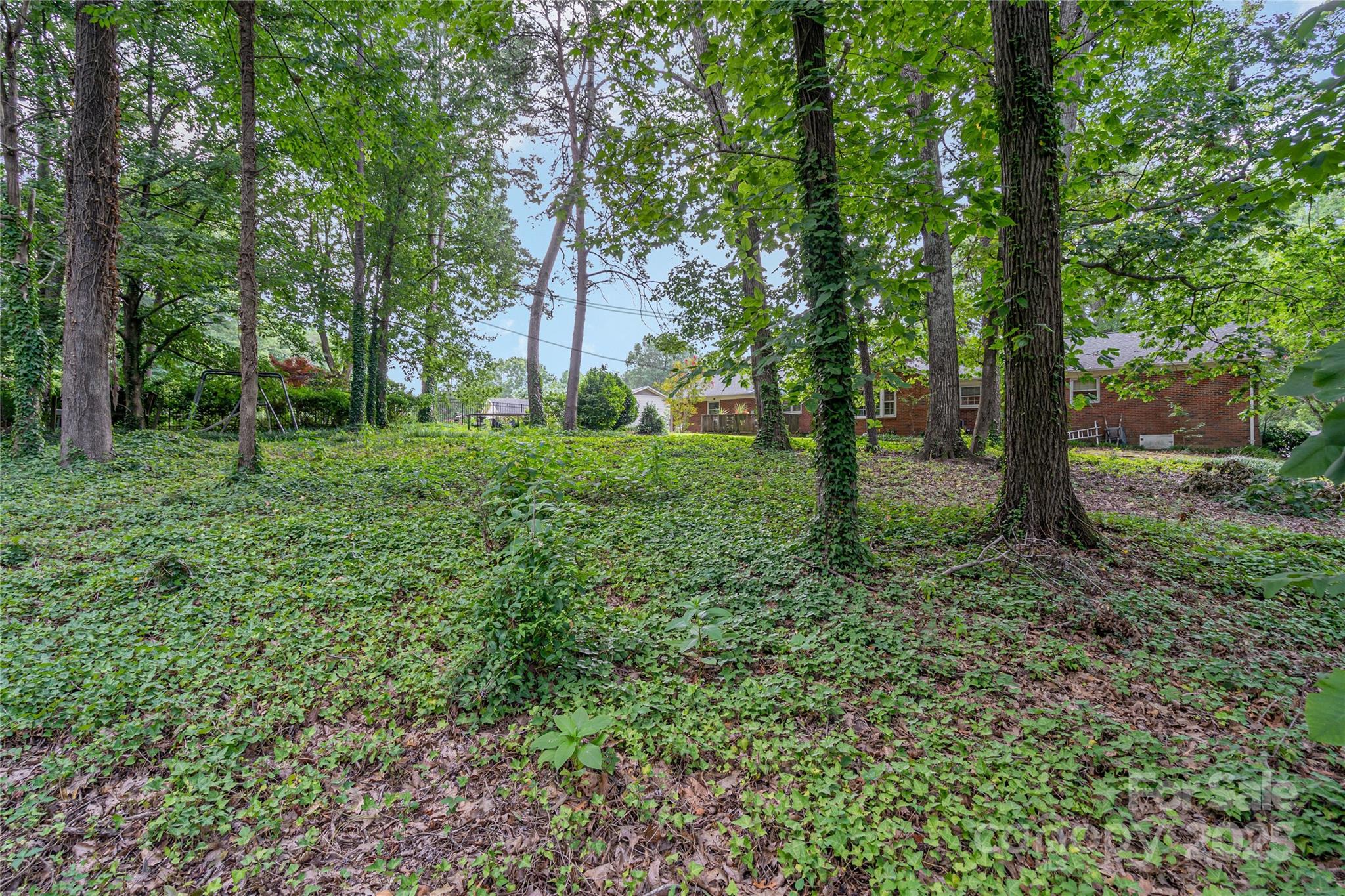 1210 Shady Bluff Drive