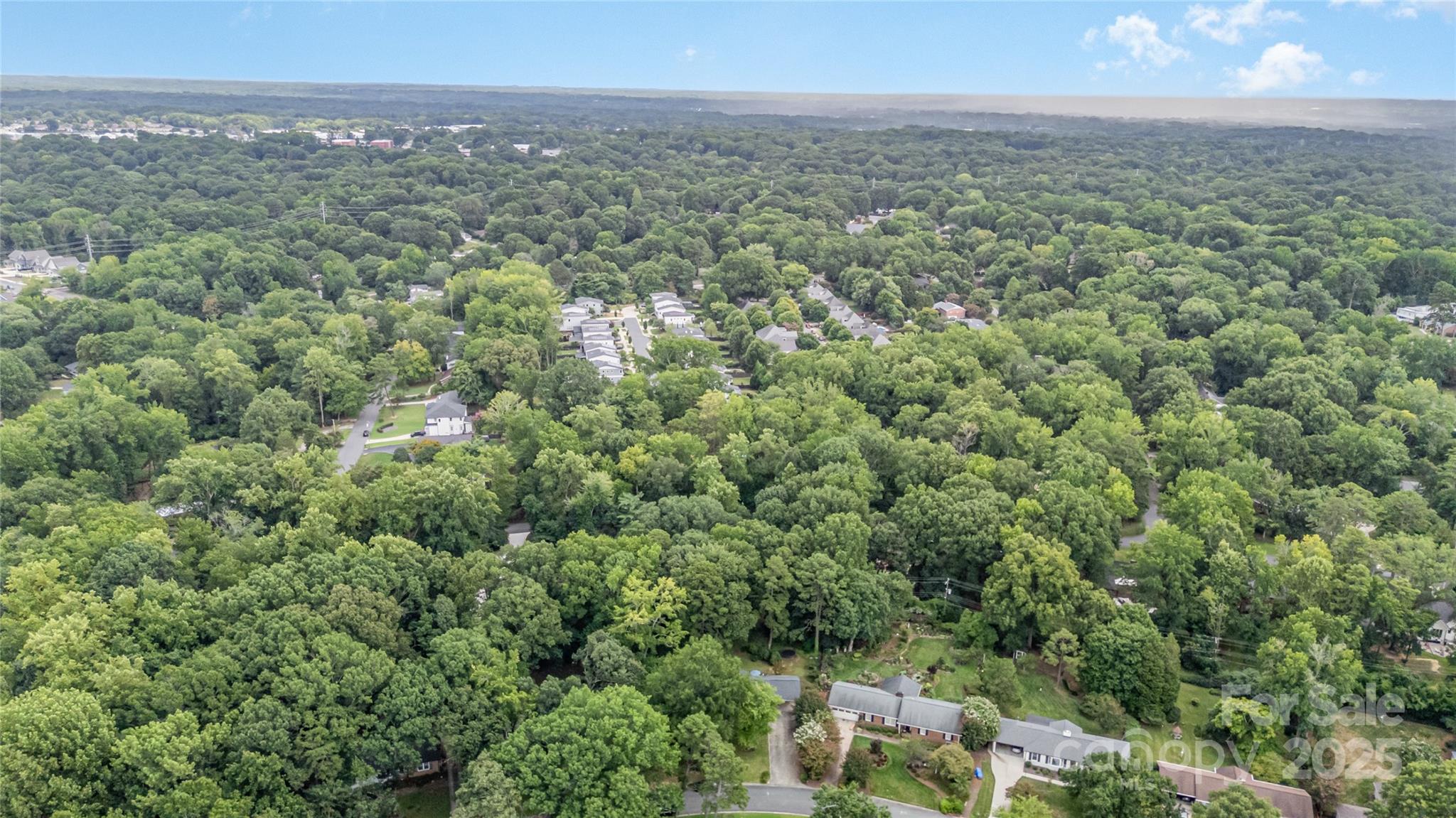 1210 Shady Bluff Drive