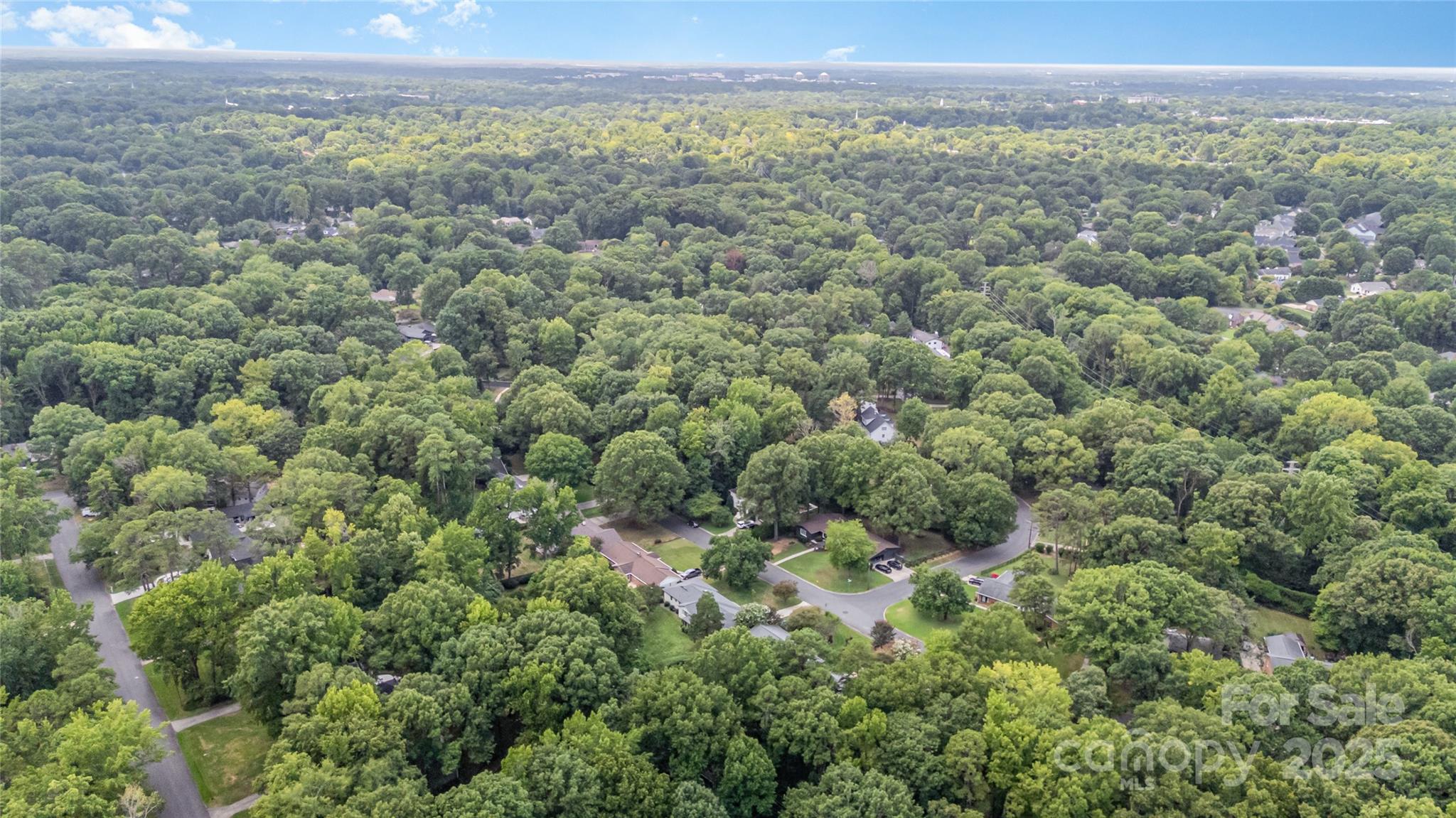 1210 Shady Bluff Drive