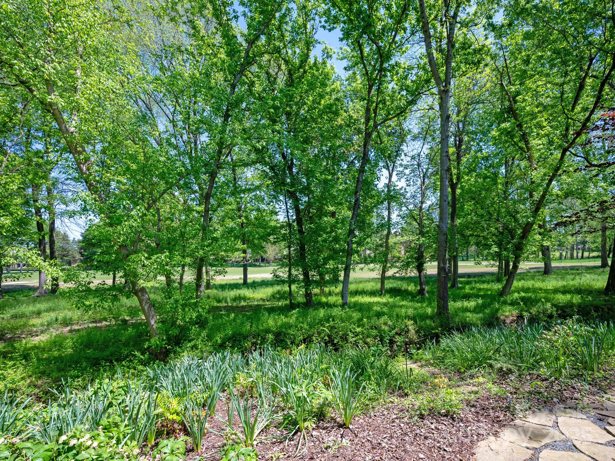 207 Belle Meade Court