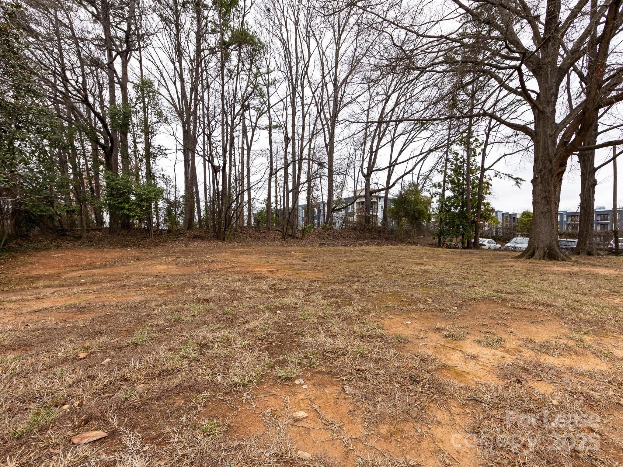 1812 W Morehead Street