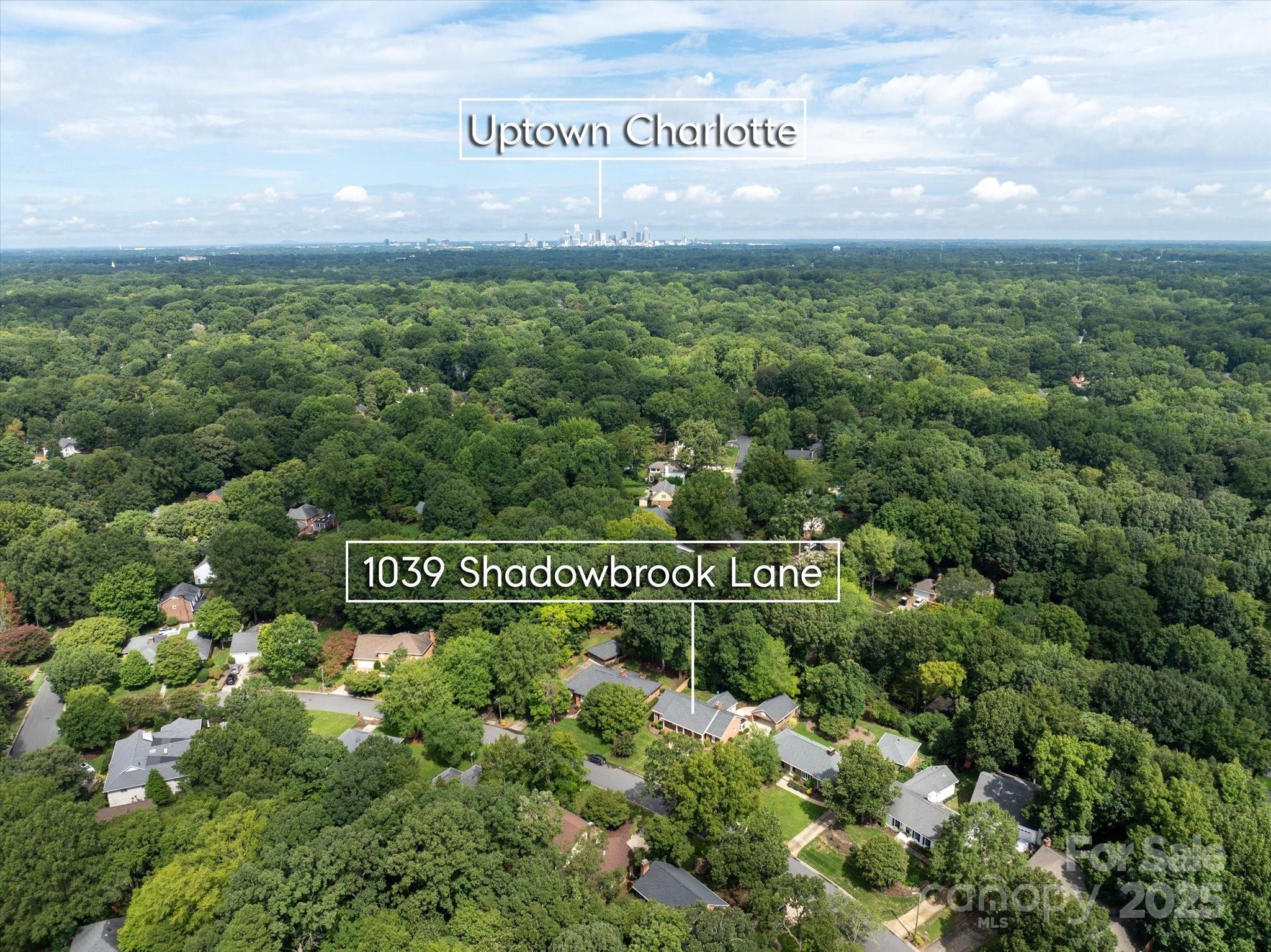 1039 Shadowbrook Lane