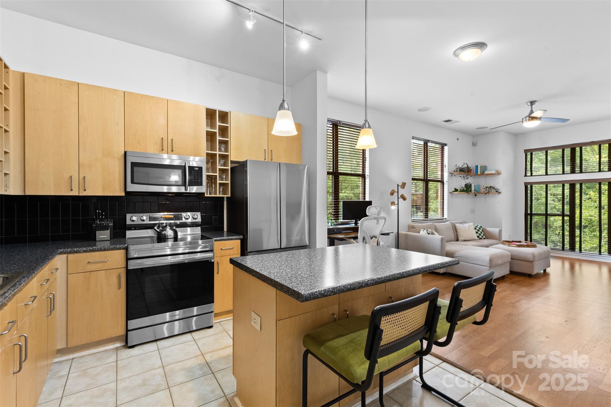 704 N Davidson Street