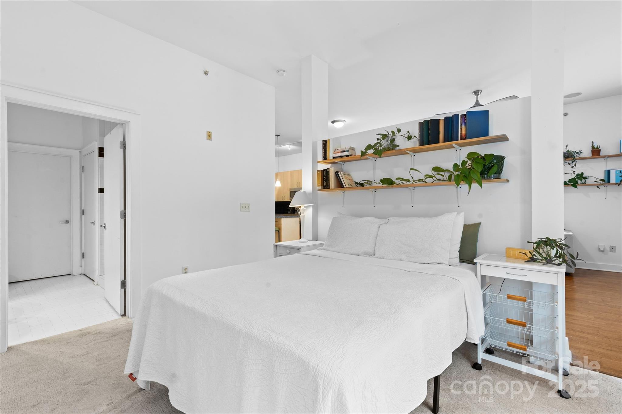 704 N Davidson Street