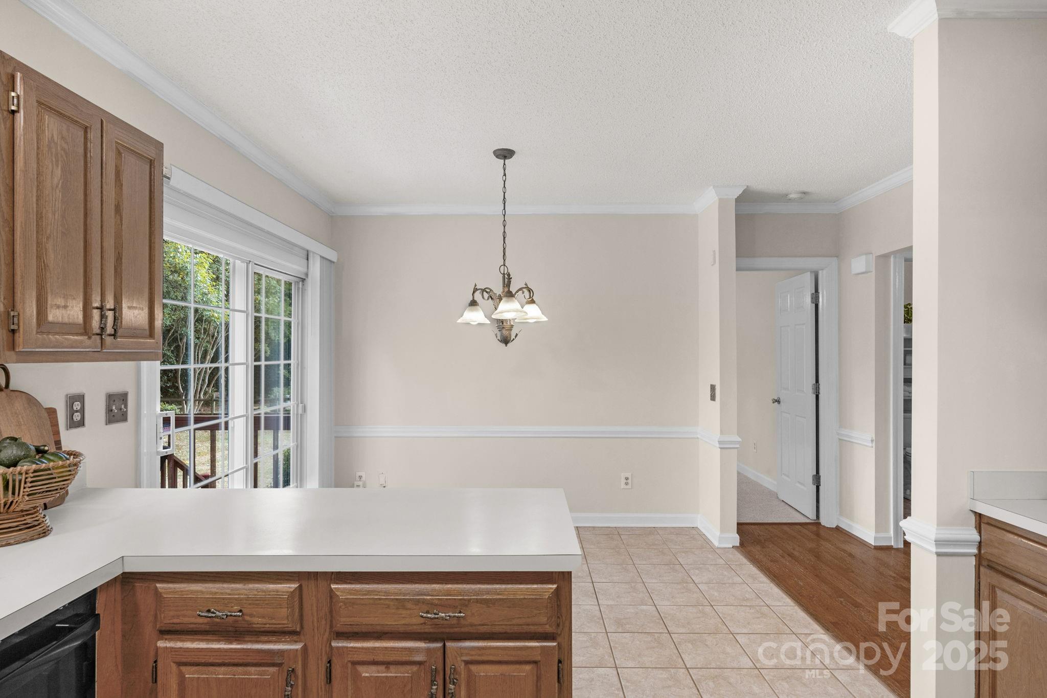 11905 Provincetowne Drive