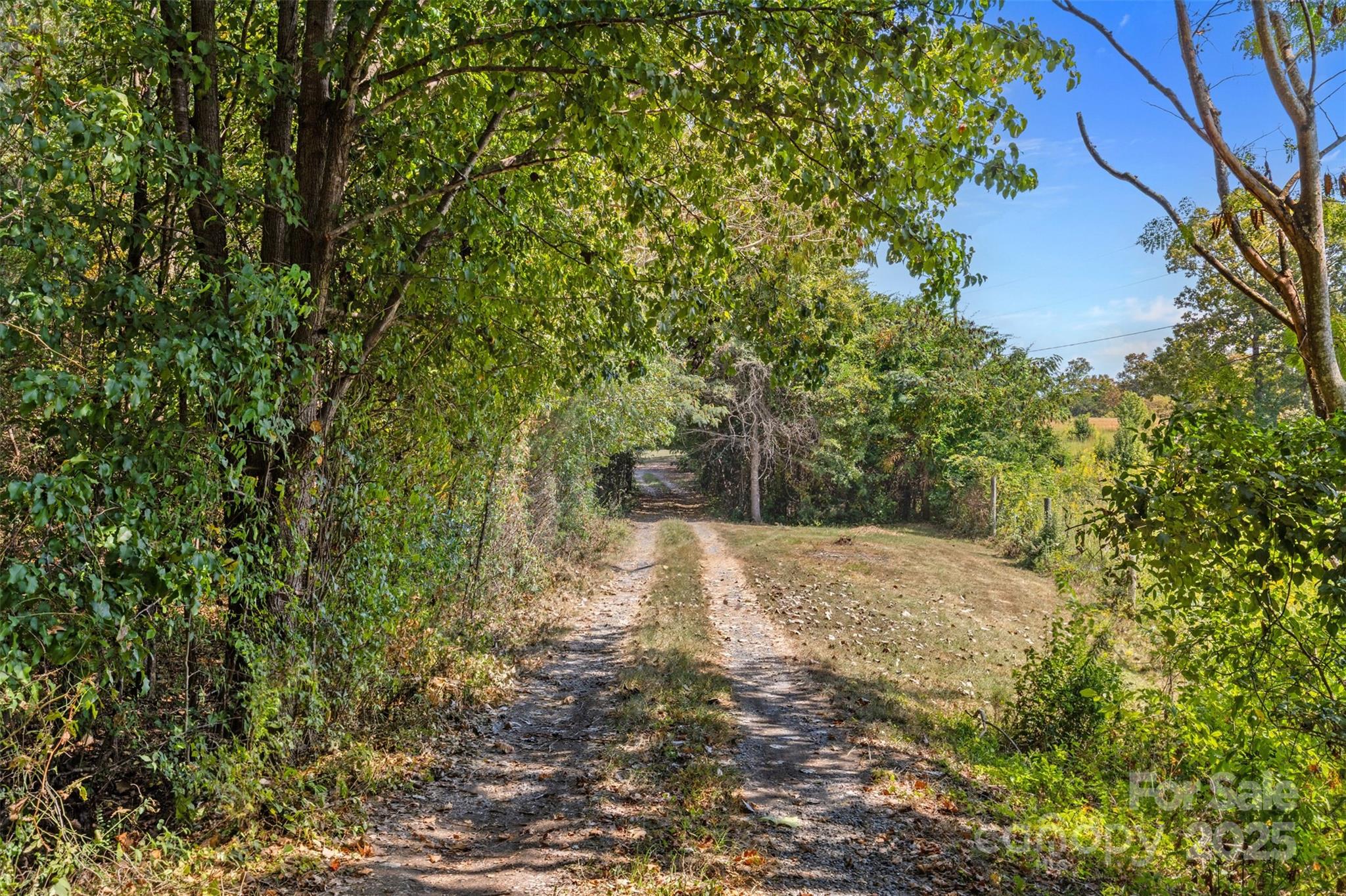 1305 Dunlap Roddey Road