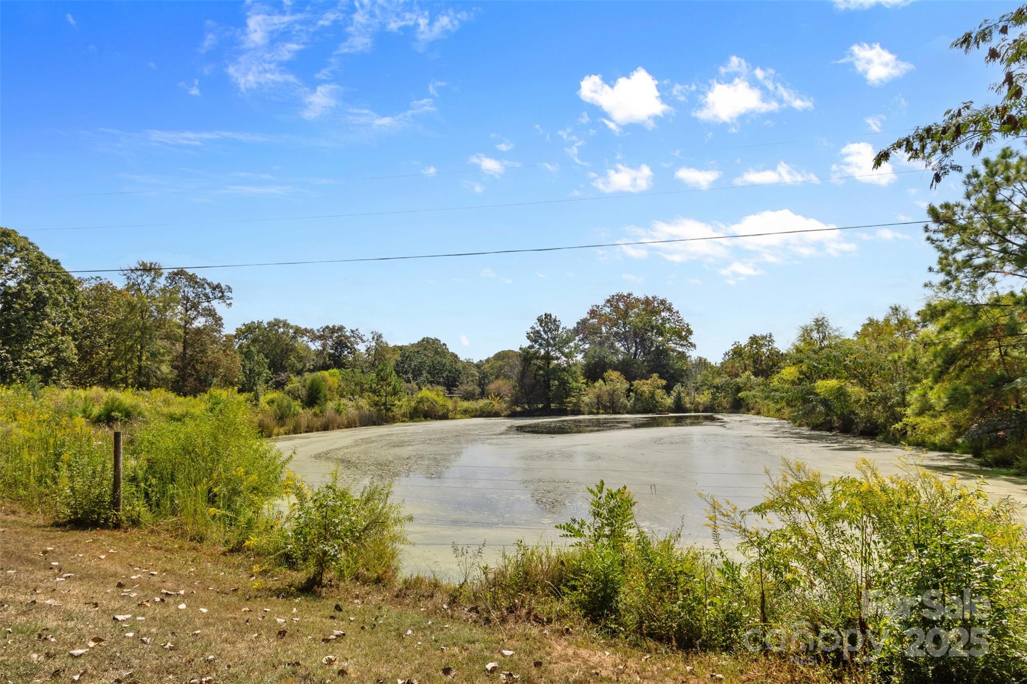 1305 Dunlap Roddey Road