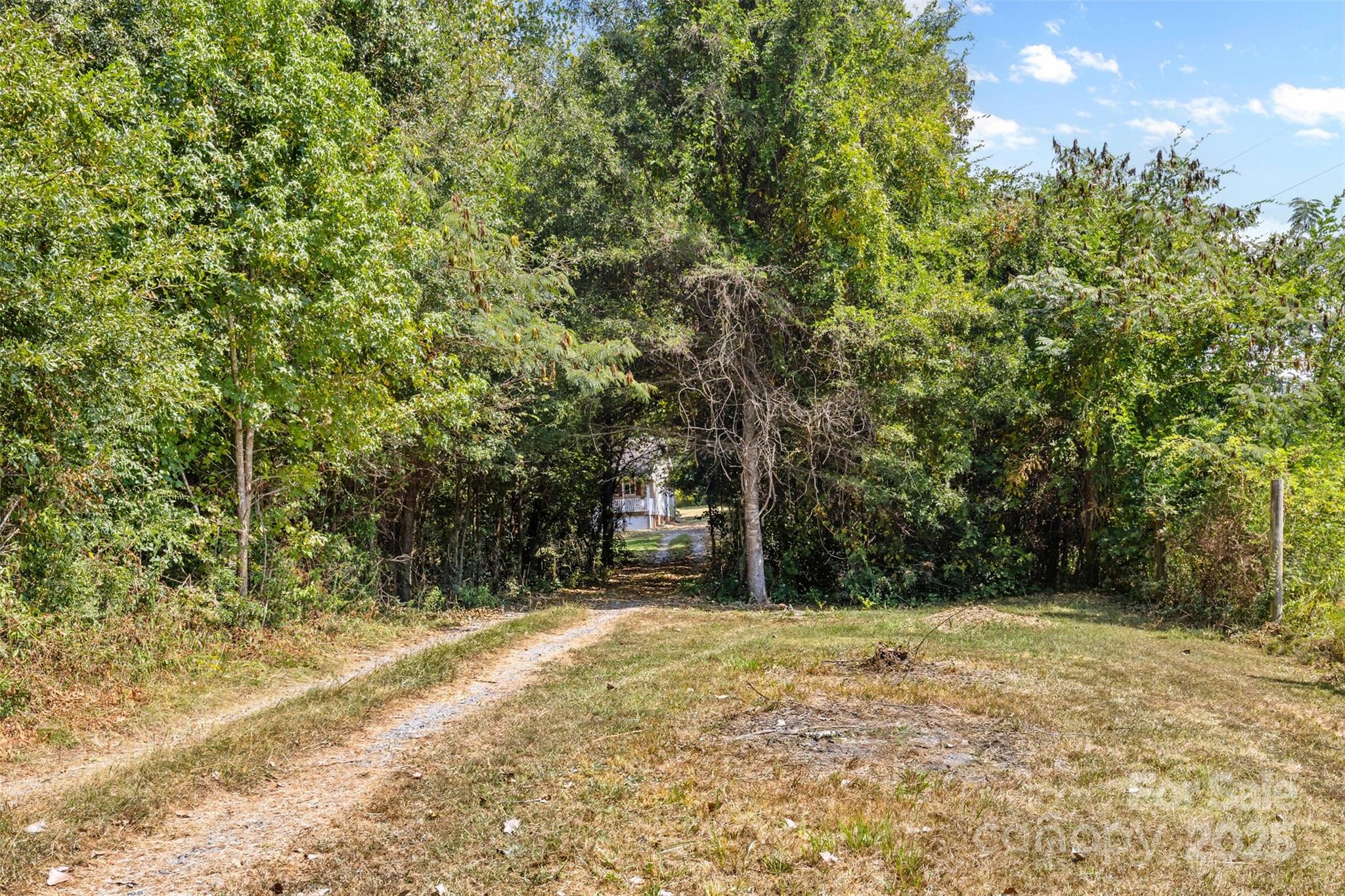 1305 Dunlap Roddey Road