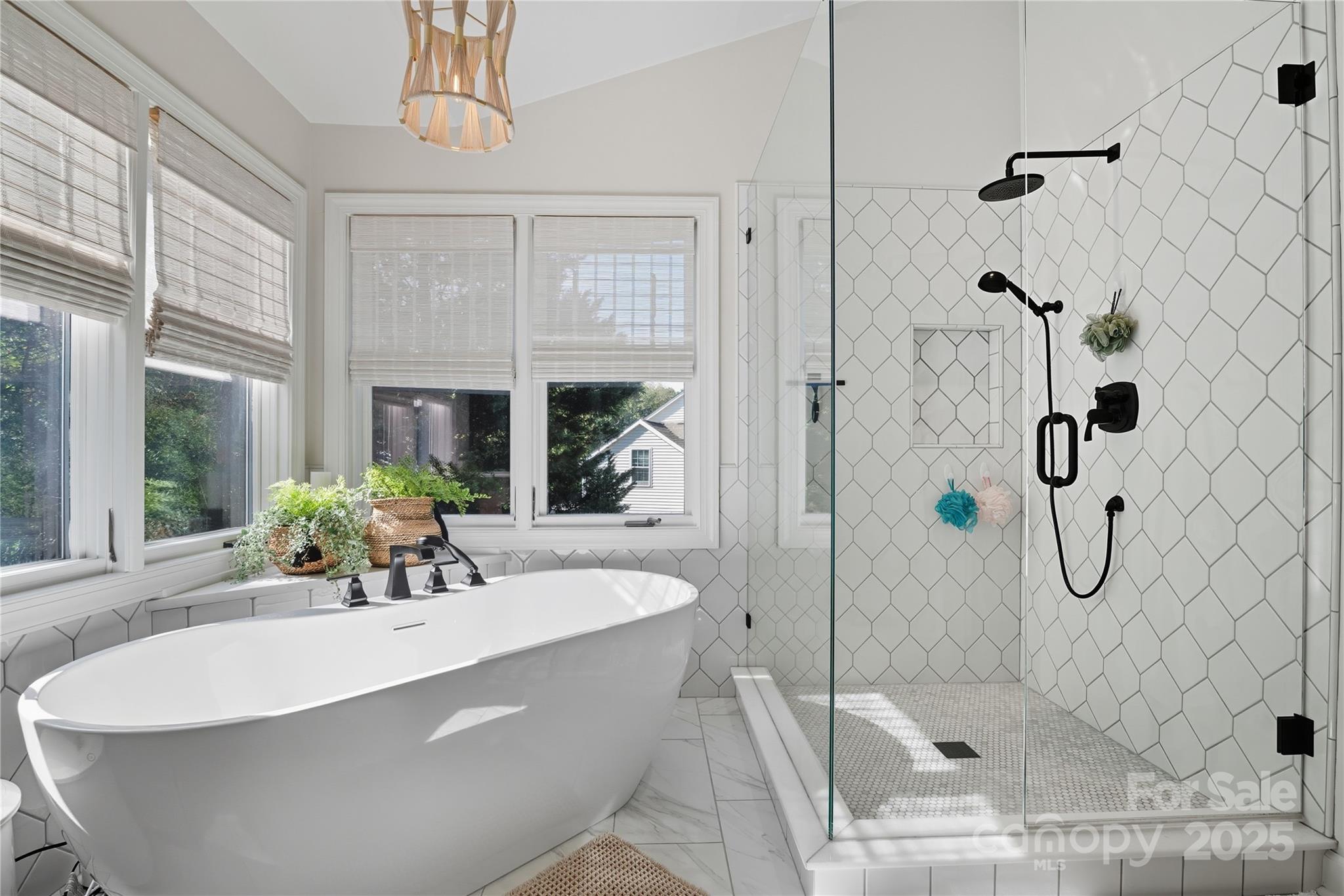 10109 Deer Spring Lane