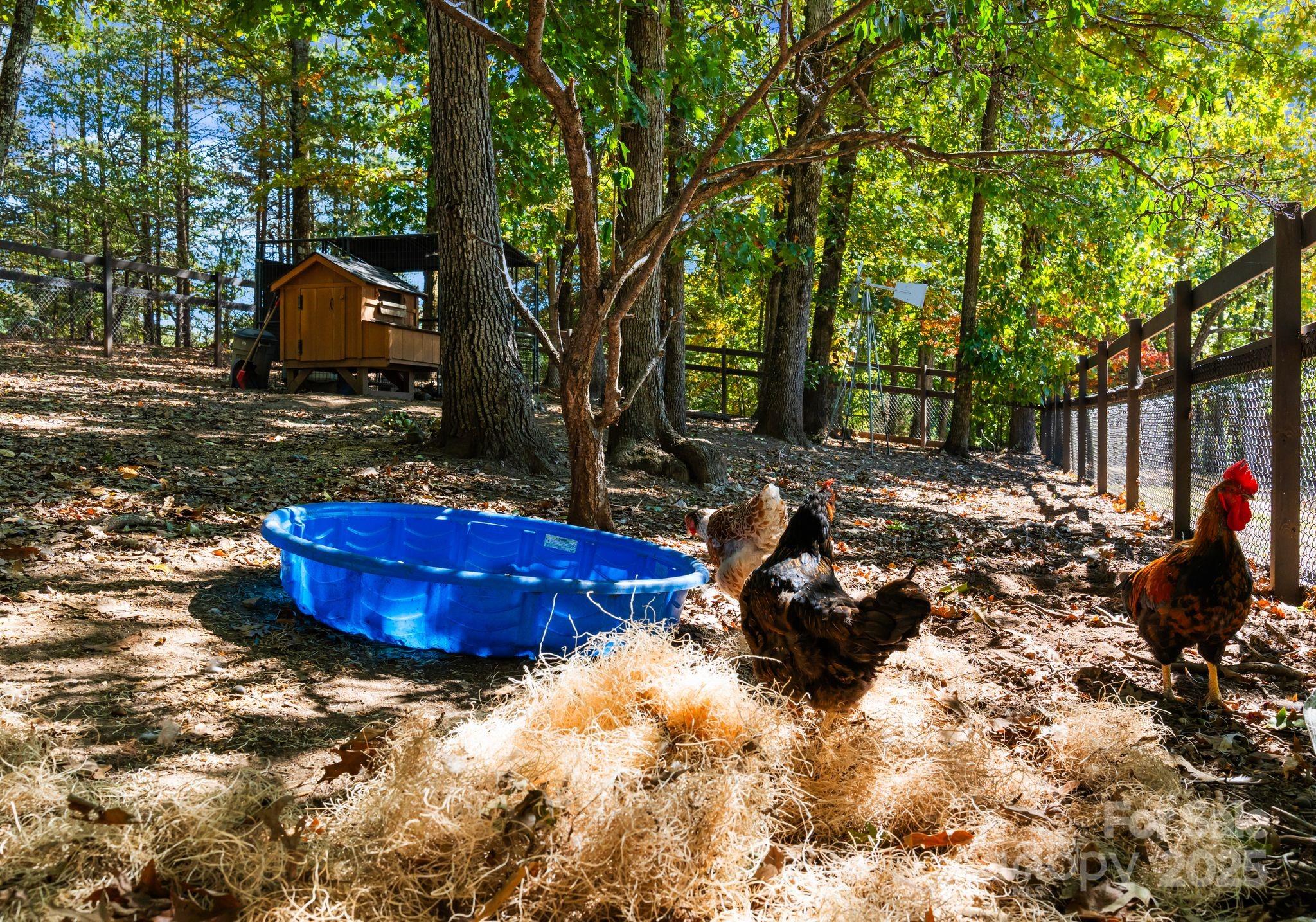 4829 Mt Olive Church Road