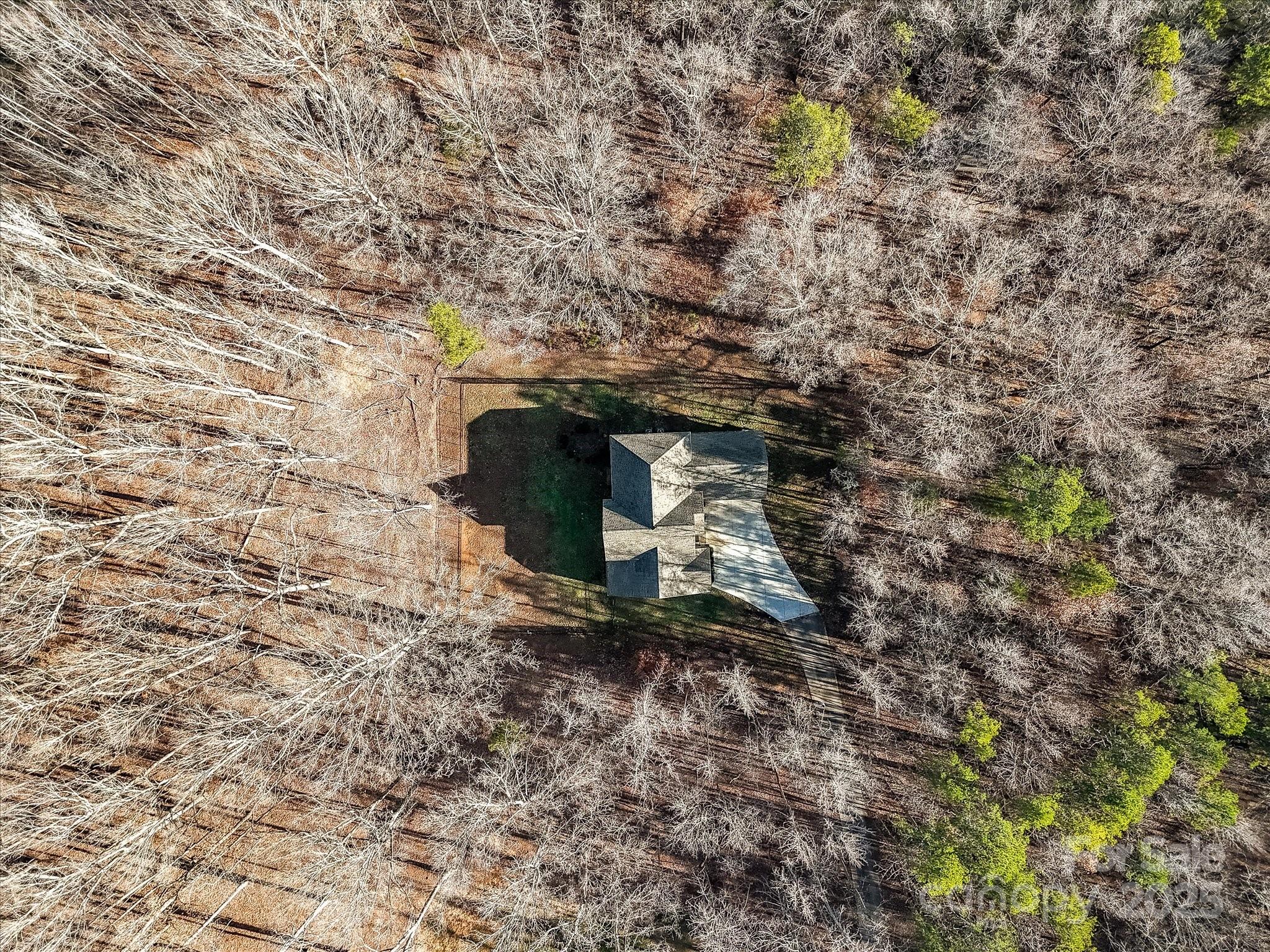 1409 BLOOMSBERRY Lane