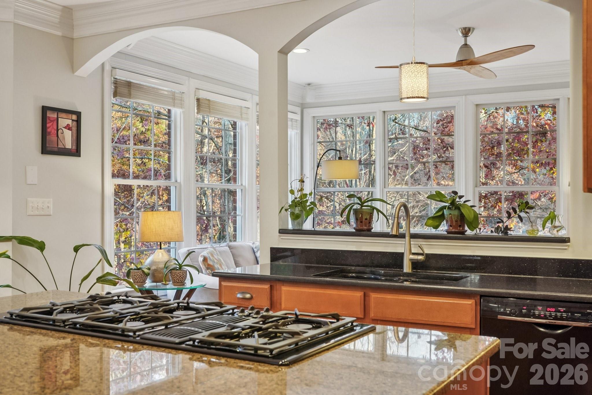 131 Spring Branch Road