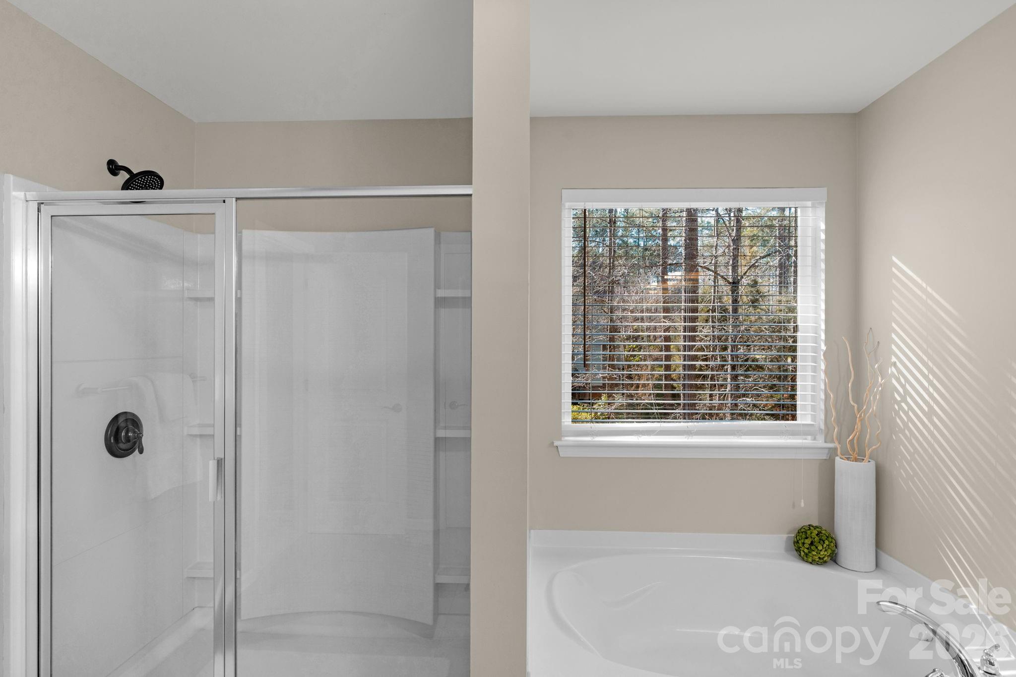 1508 Springfield Drive