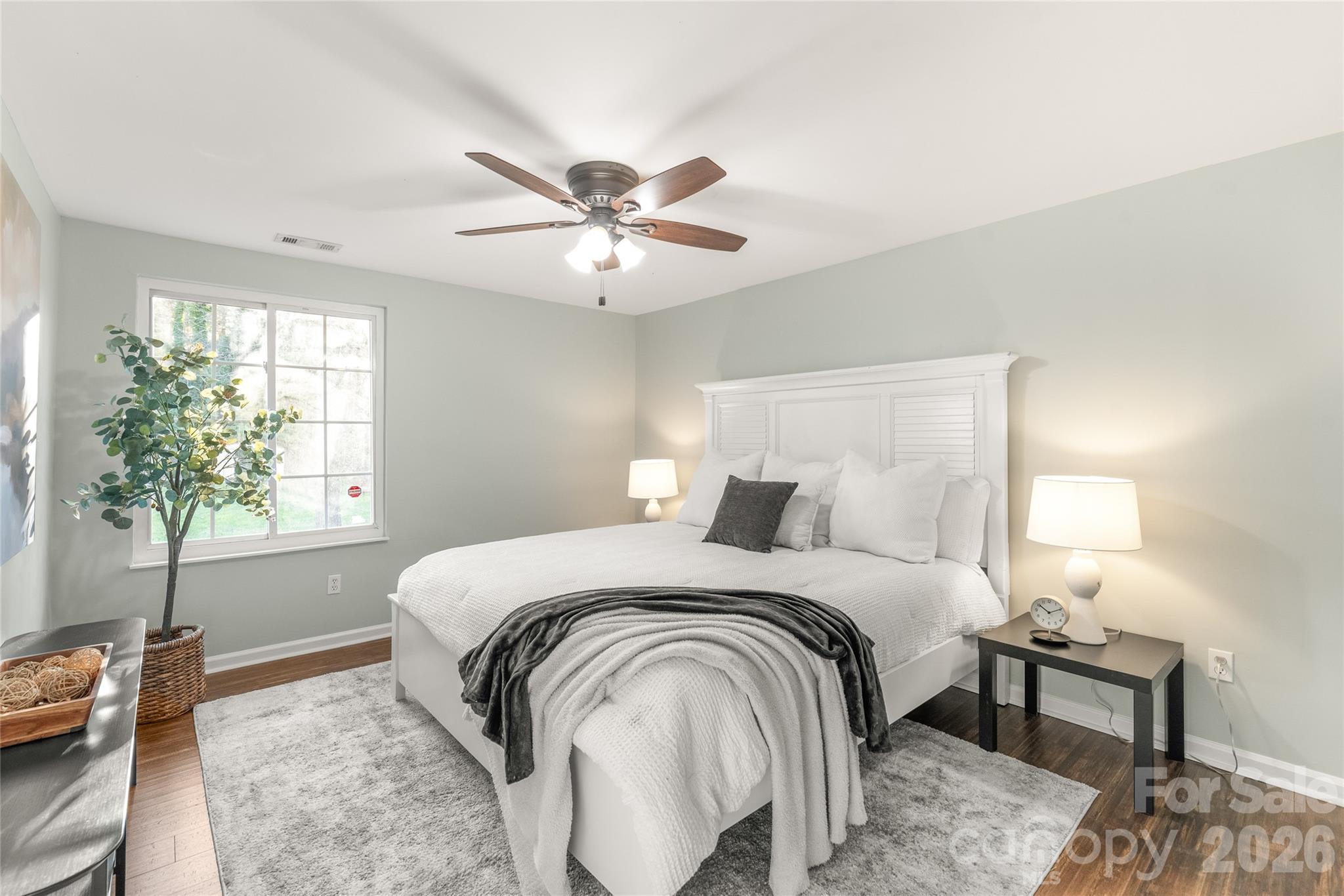 6223 Judas Tree Lane