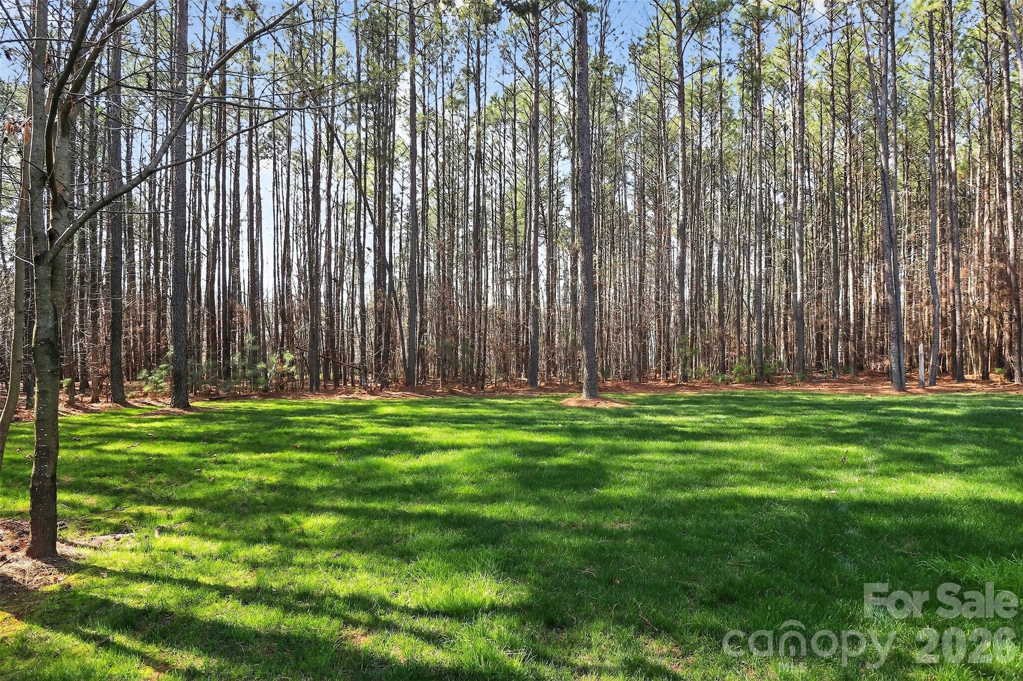 1309 Huntcliff Drive