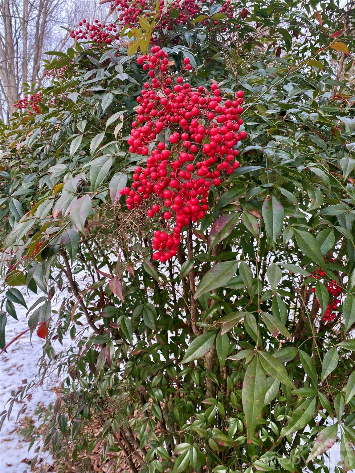 306 US Hwy 70A E Highway E