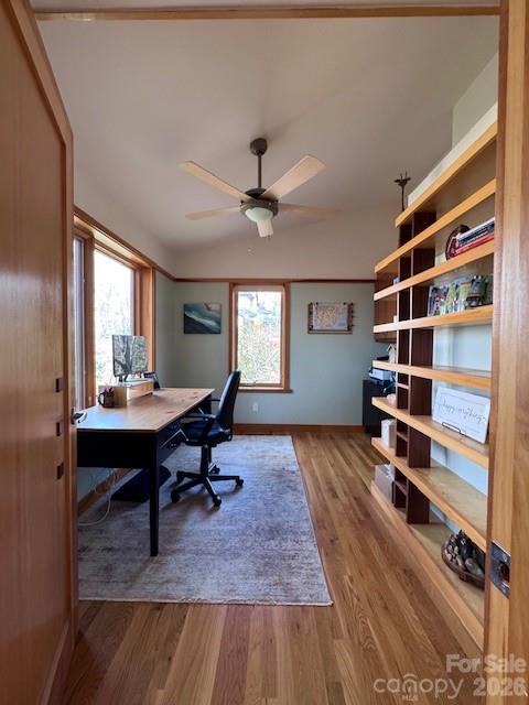 521 Wood Thrush Court