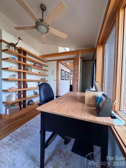 521 Wood Thrush Court