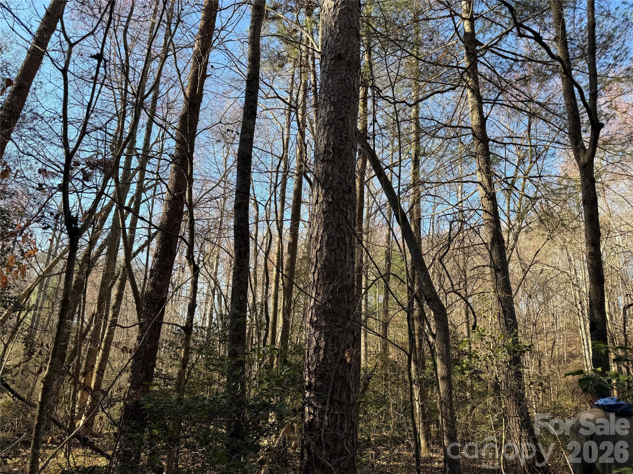 00 Pilgrim Church Road