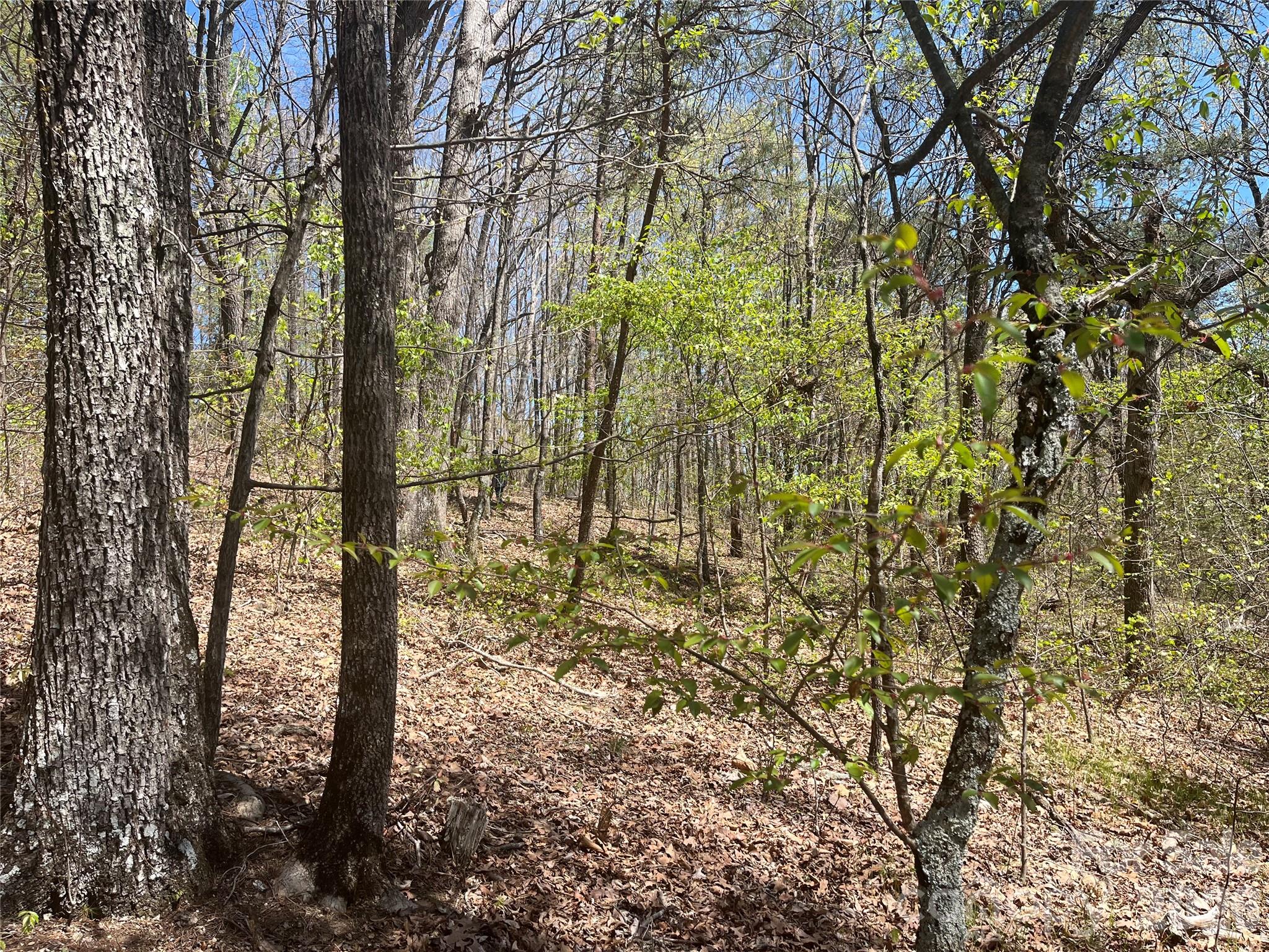 0 Pilgrim Church Road