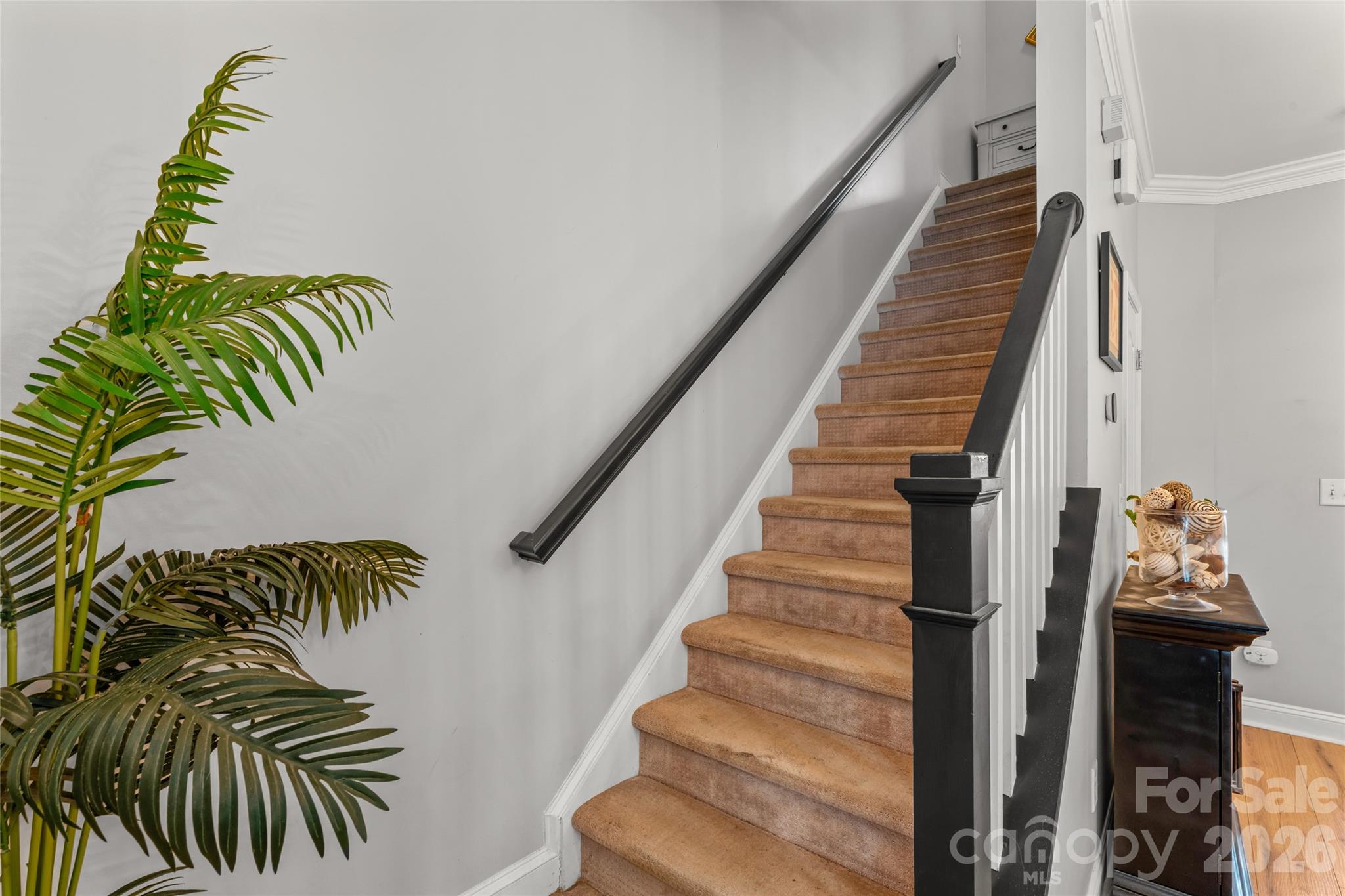 343 Hurston Circle