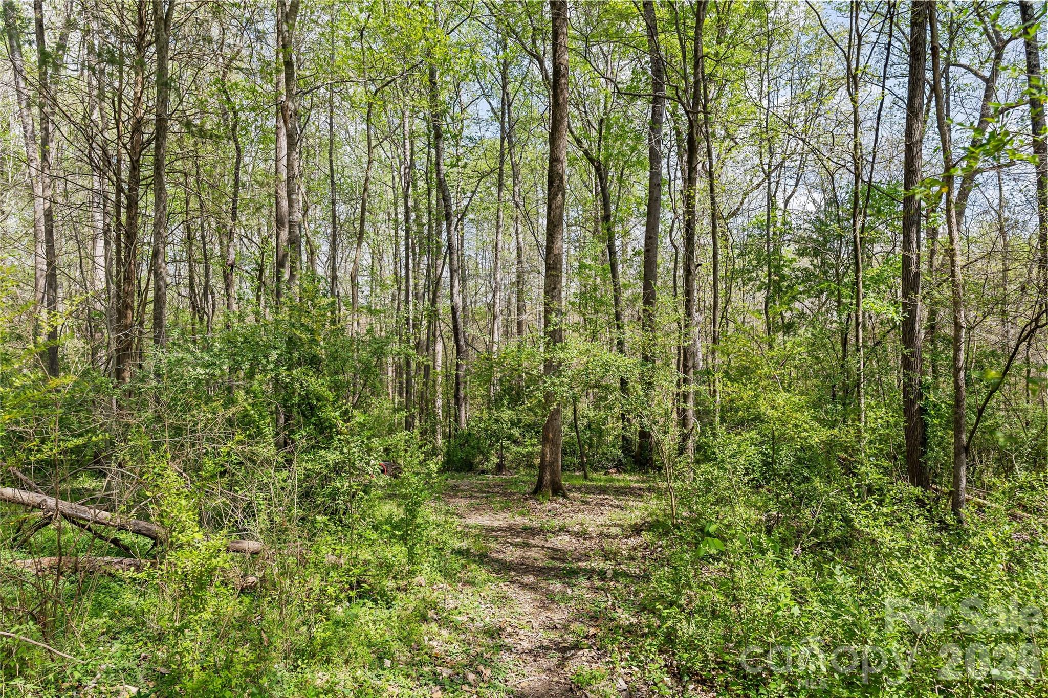 12811 Moores Chapel Road