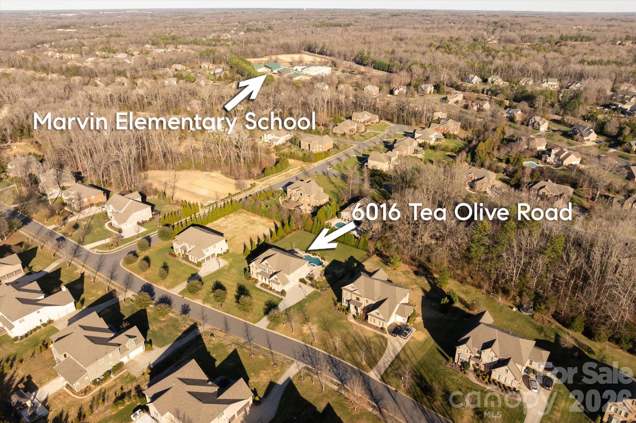 6016 Tea Olive Road